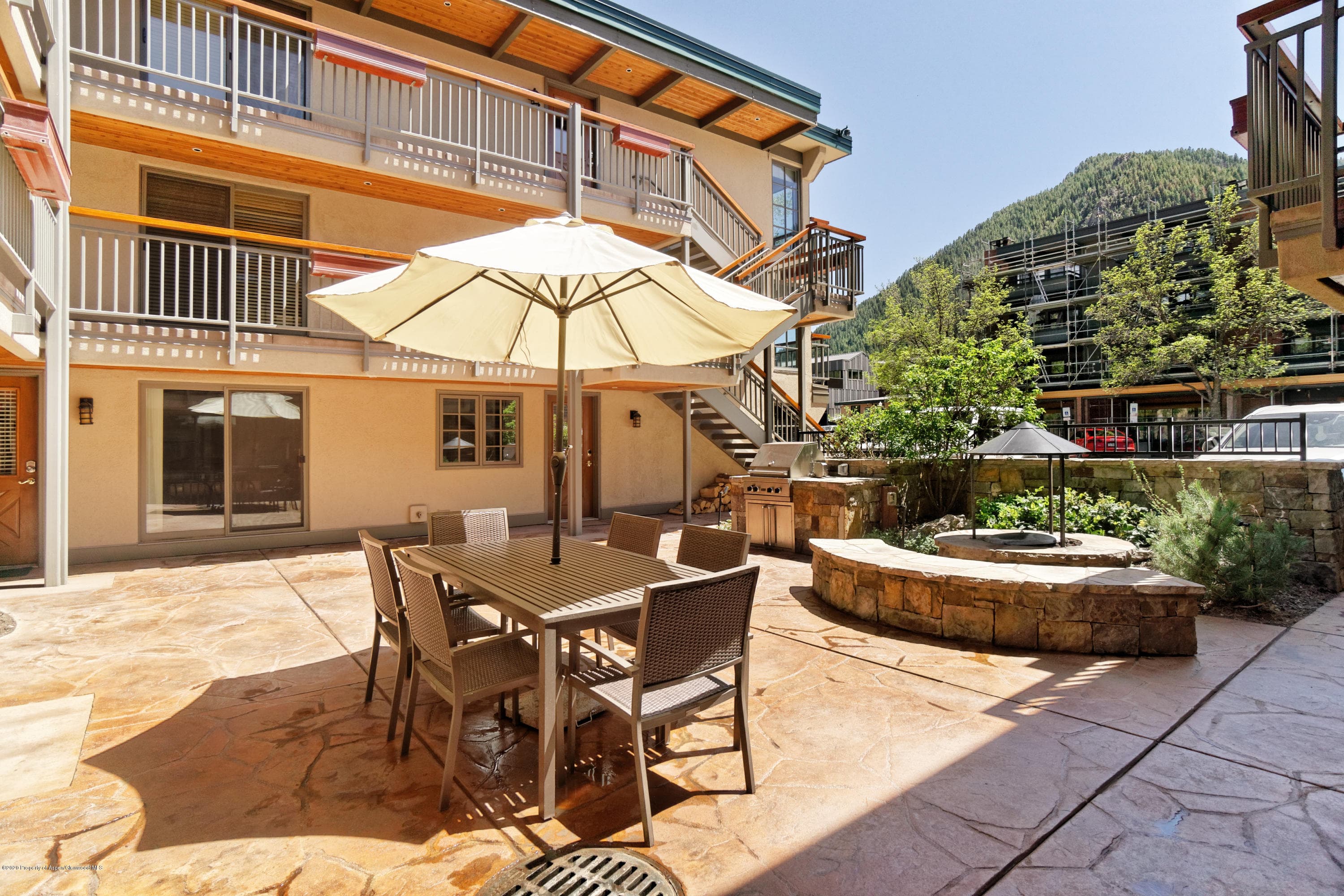 630 E Cooper Avenue 1, Aspen, CO 81611 - Photo 15