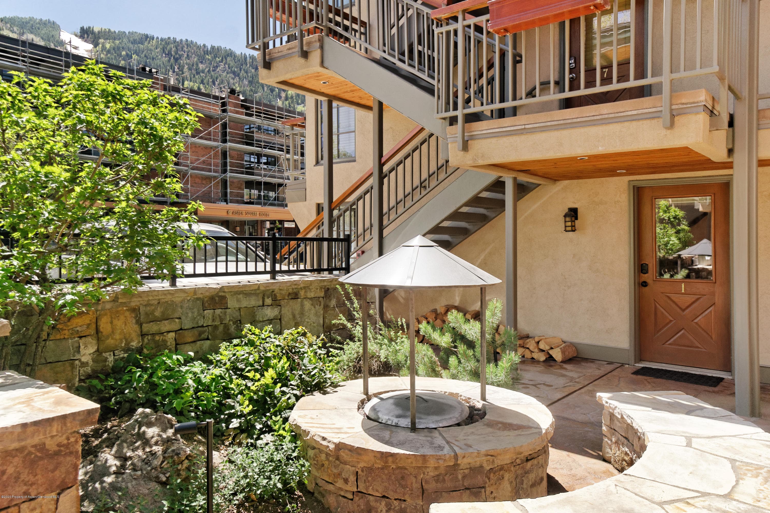 630 E Cooper Avenue 1, Aspen, CO 81611 - Photo 20