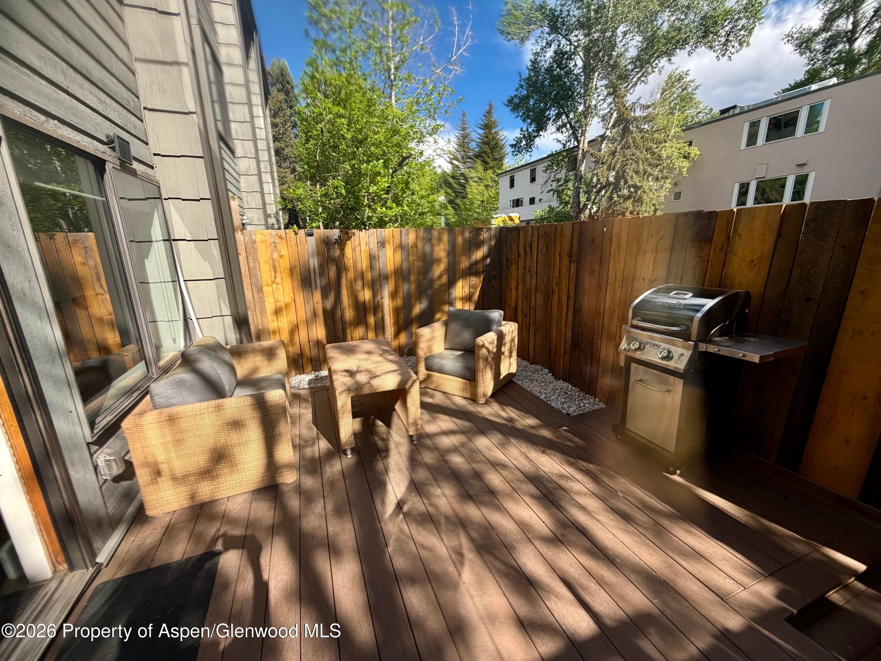 725 E Main Street 107, Aspen, CO 81611 - Photo 2