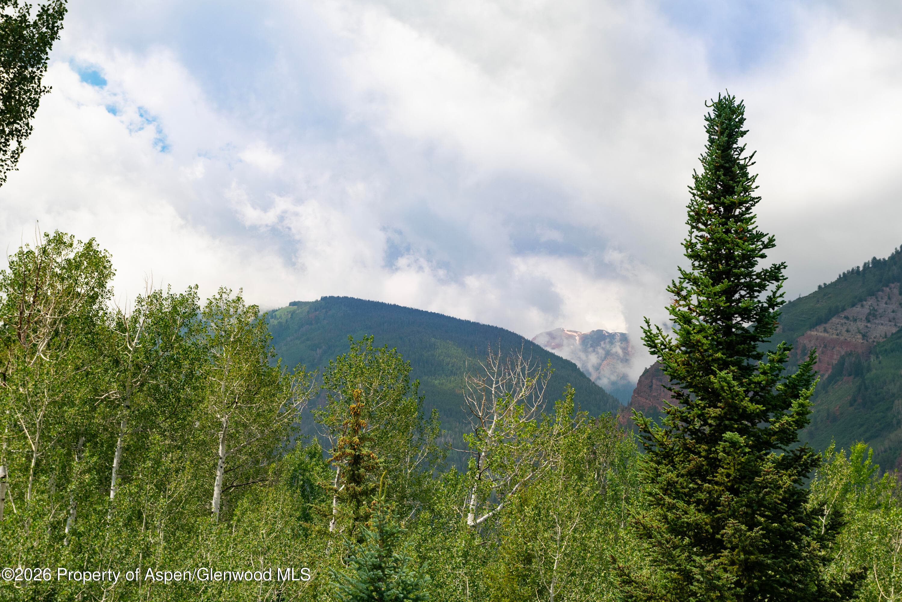 111 Powderbowl Trail, Aspen, CO 81611 - Photo 29