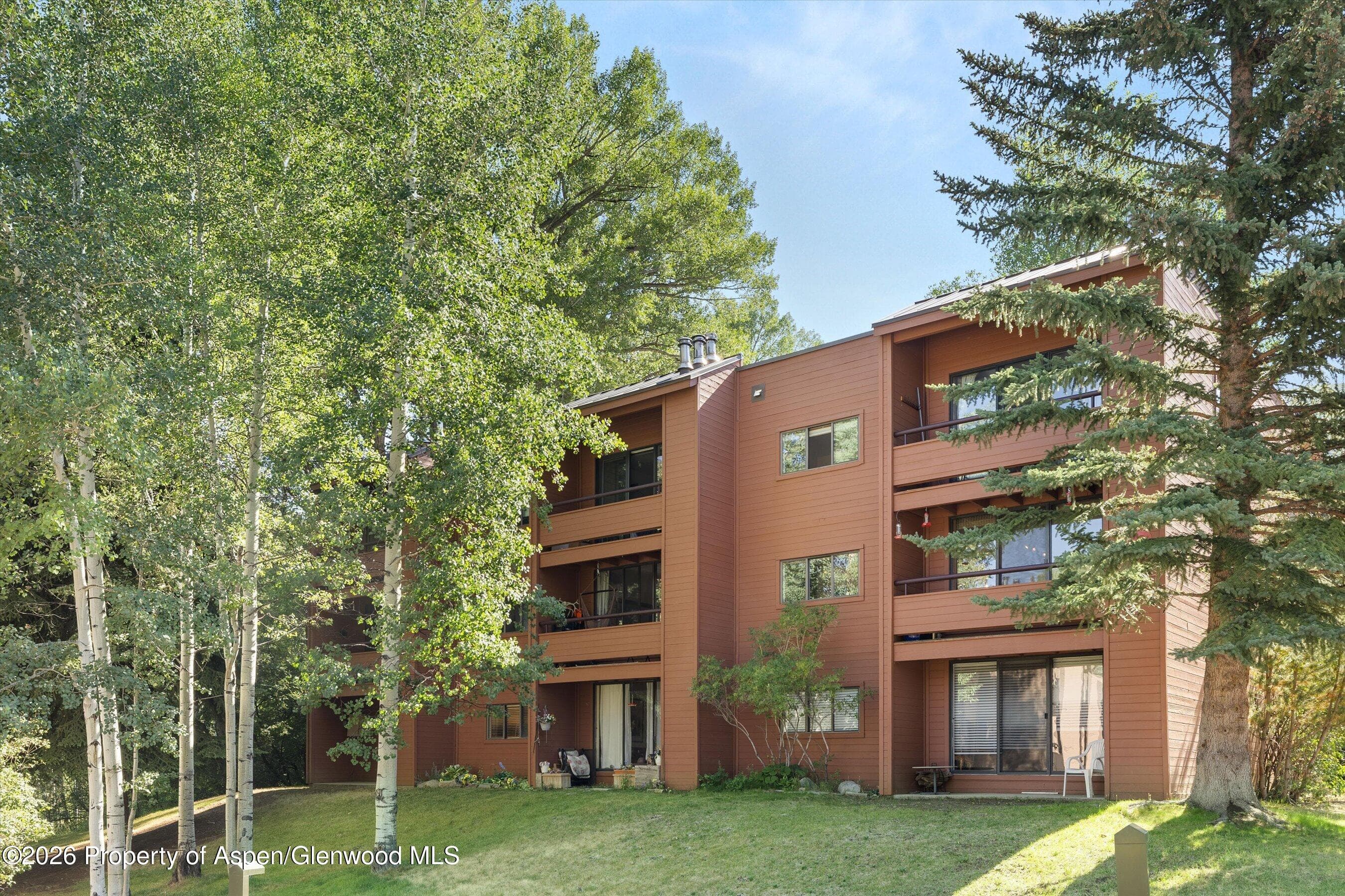 1221 Vine Street 1221, Aspen, CO 81611 - Photo 8