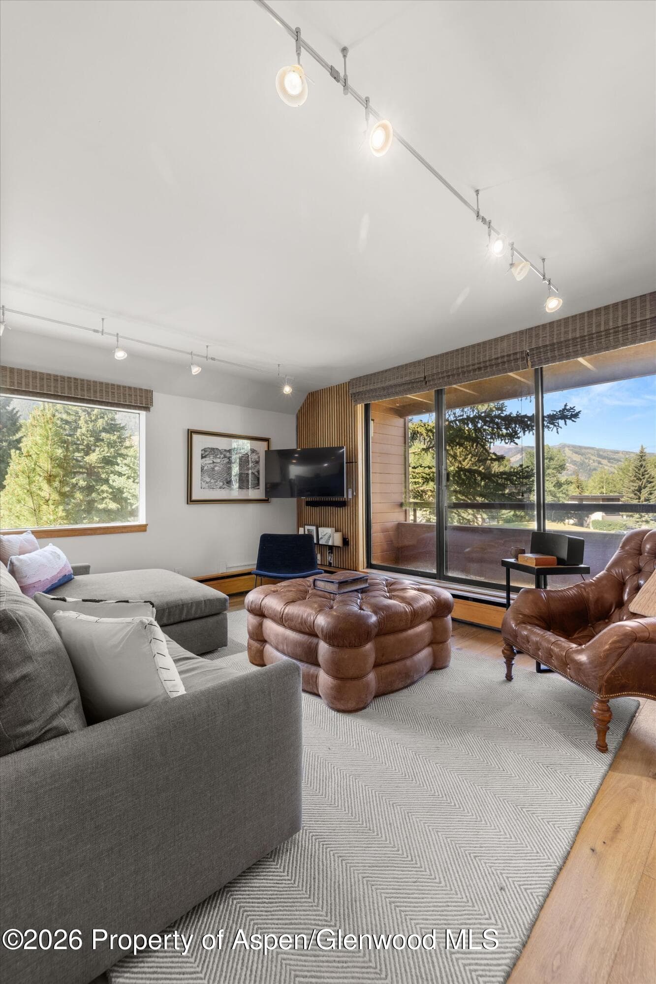 1221 Vine Street 1221, Aspen, CO 81611 - Photo 14