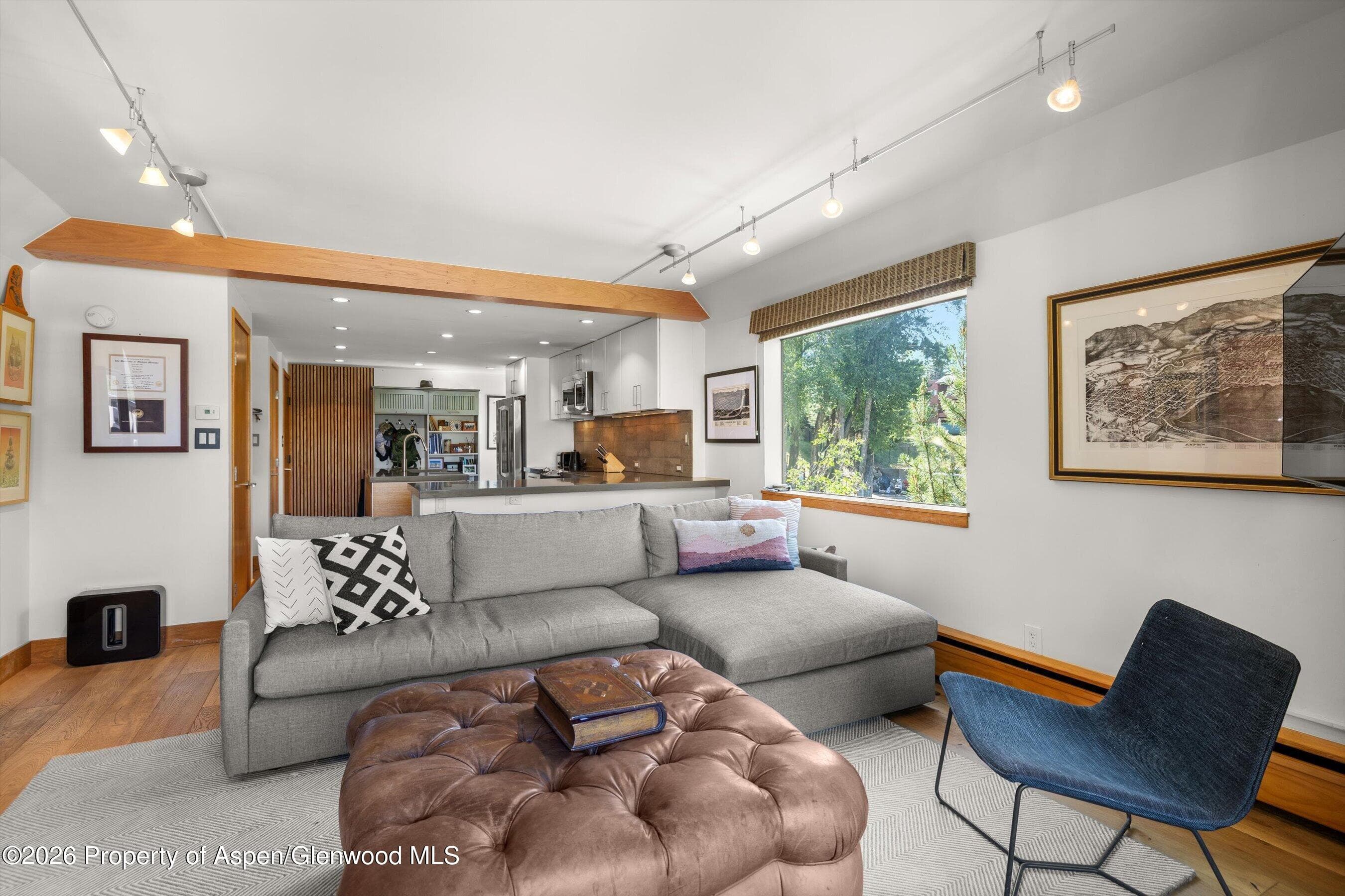 1221 Vine Street 1221, Aspen, CO 81611 - Photo 10