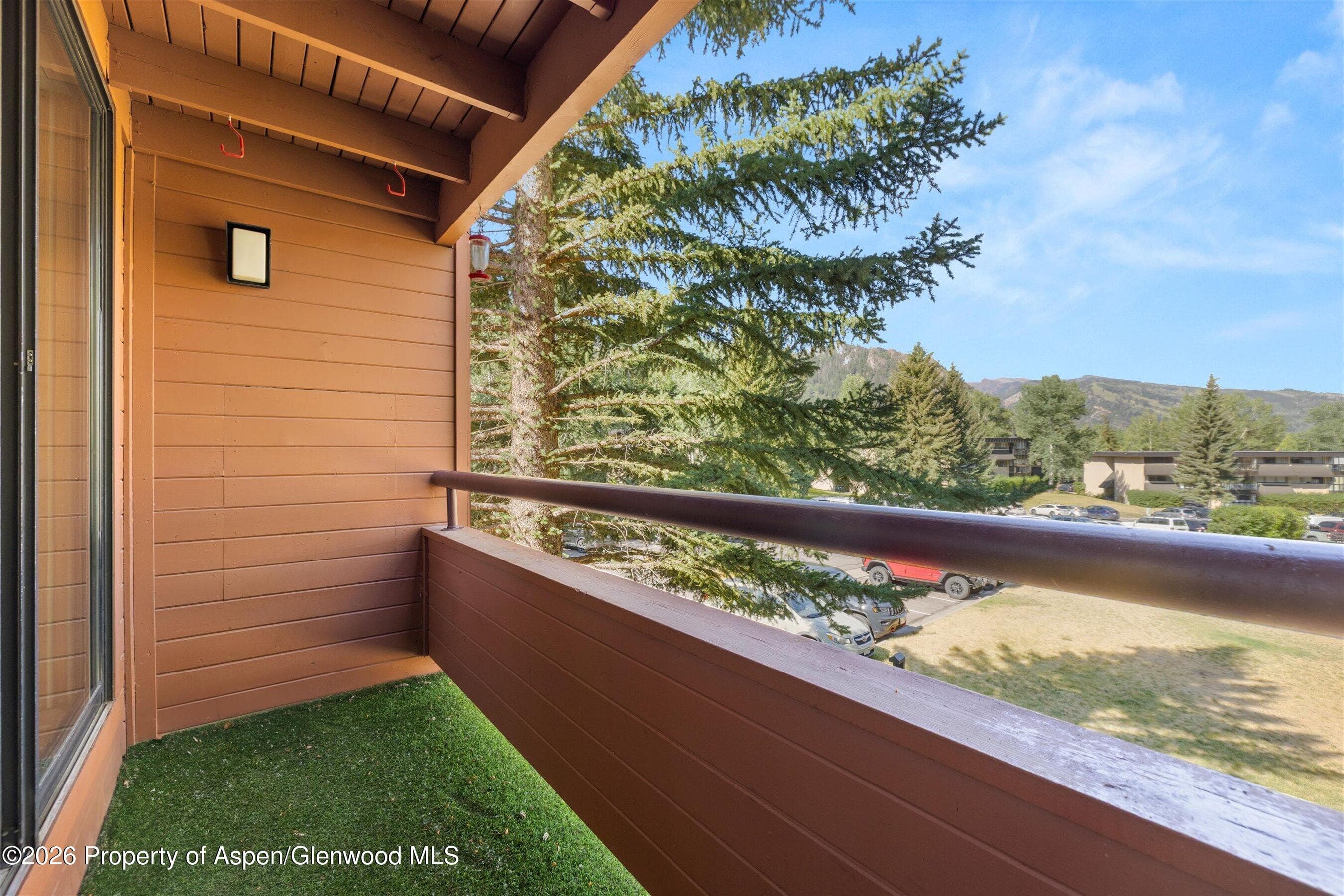1221 Vine Street 1221, Aspen, CO 81611 - Photo 16