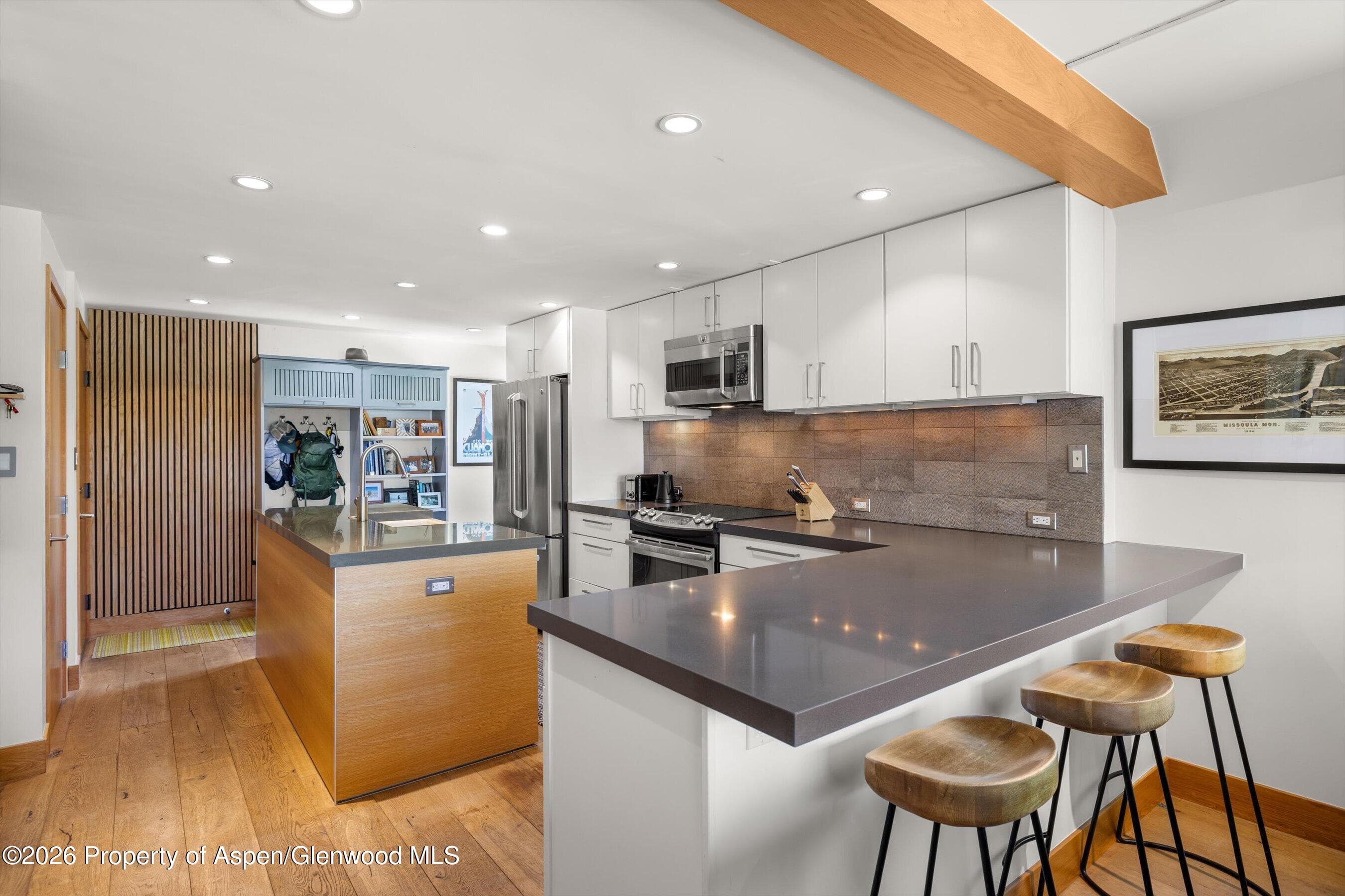 1221 Vine Street 1221, Aspen, CO 81611 - Photo 11