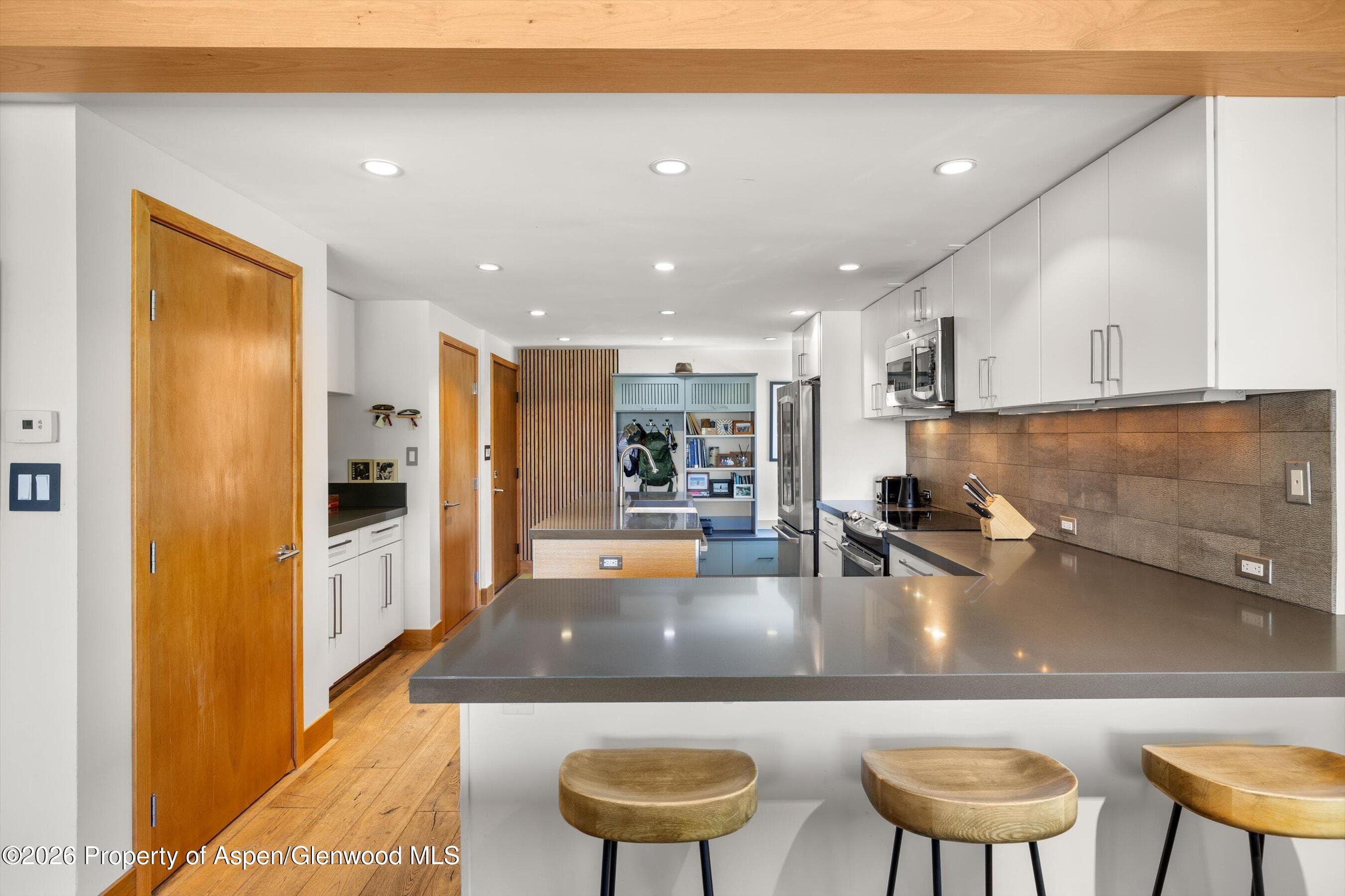 1221 Vine Street 1221, Aspen, CO 81611 - Photo 12