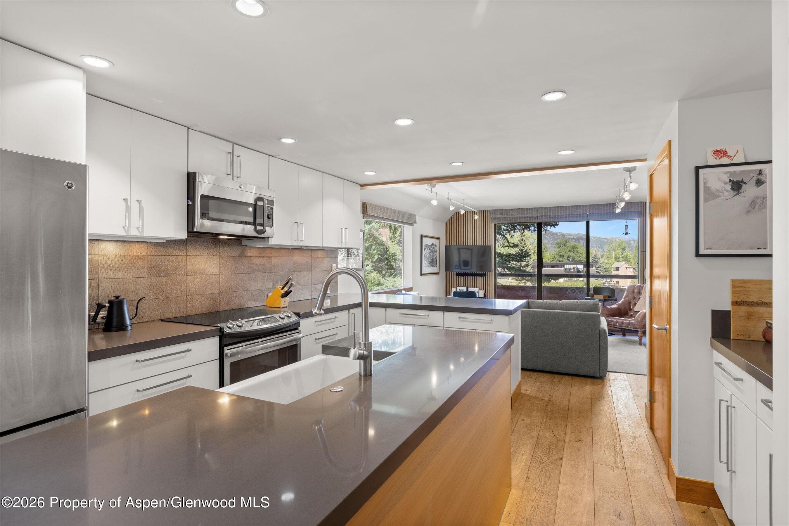 1221 Vine Street 1221, Aspen, CO 81611