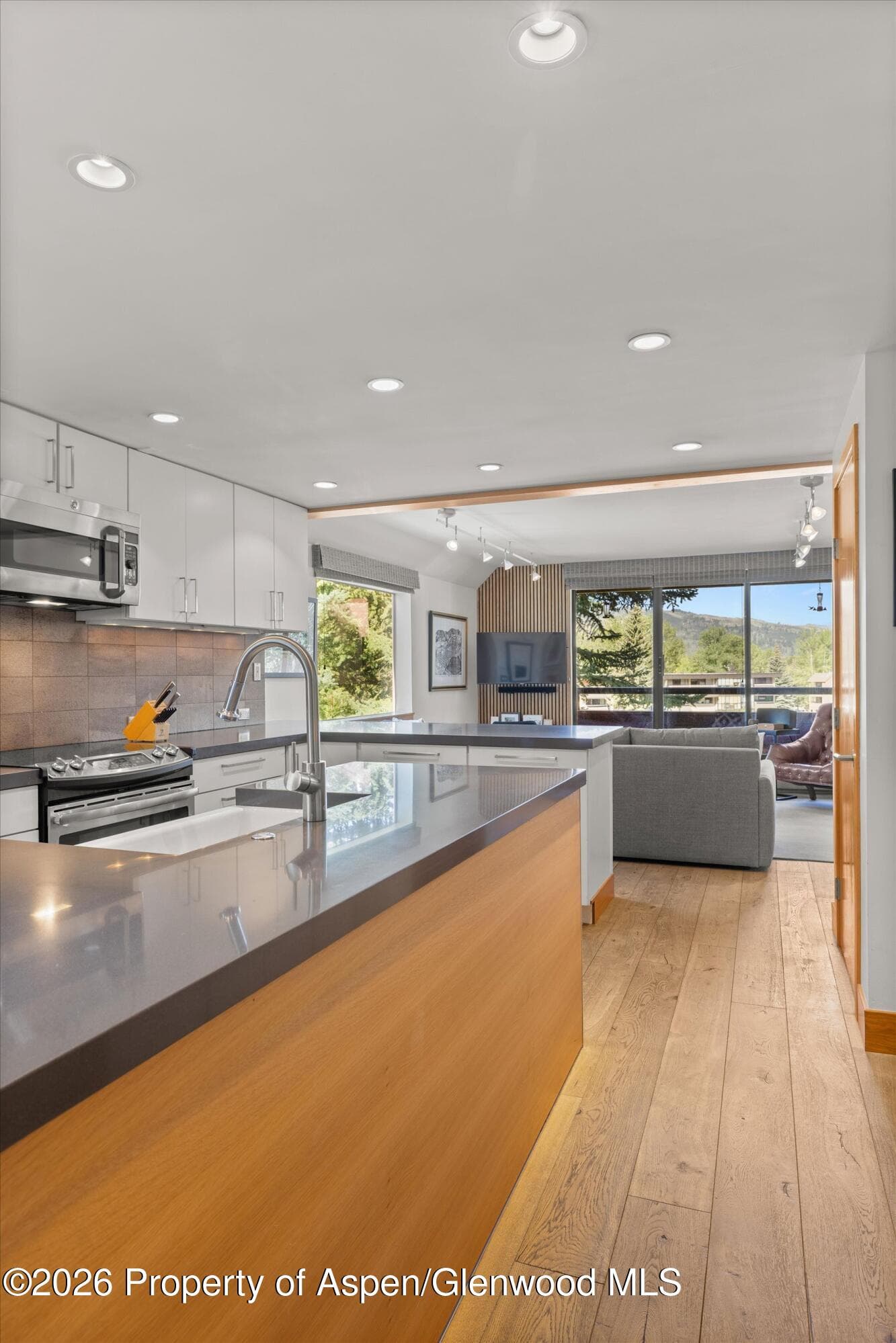1221 Vine Street 1221, Aspen, CO 81611 - Photo 13