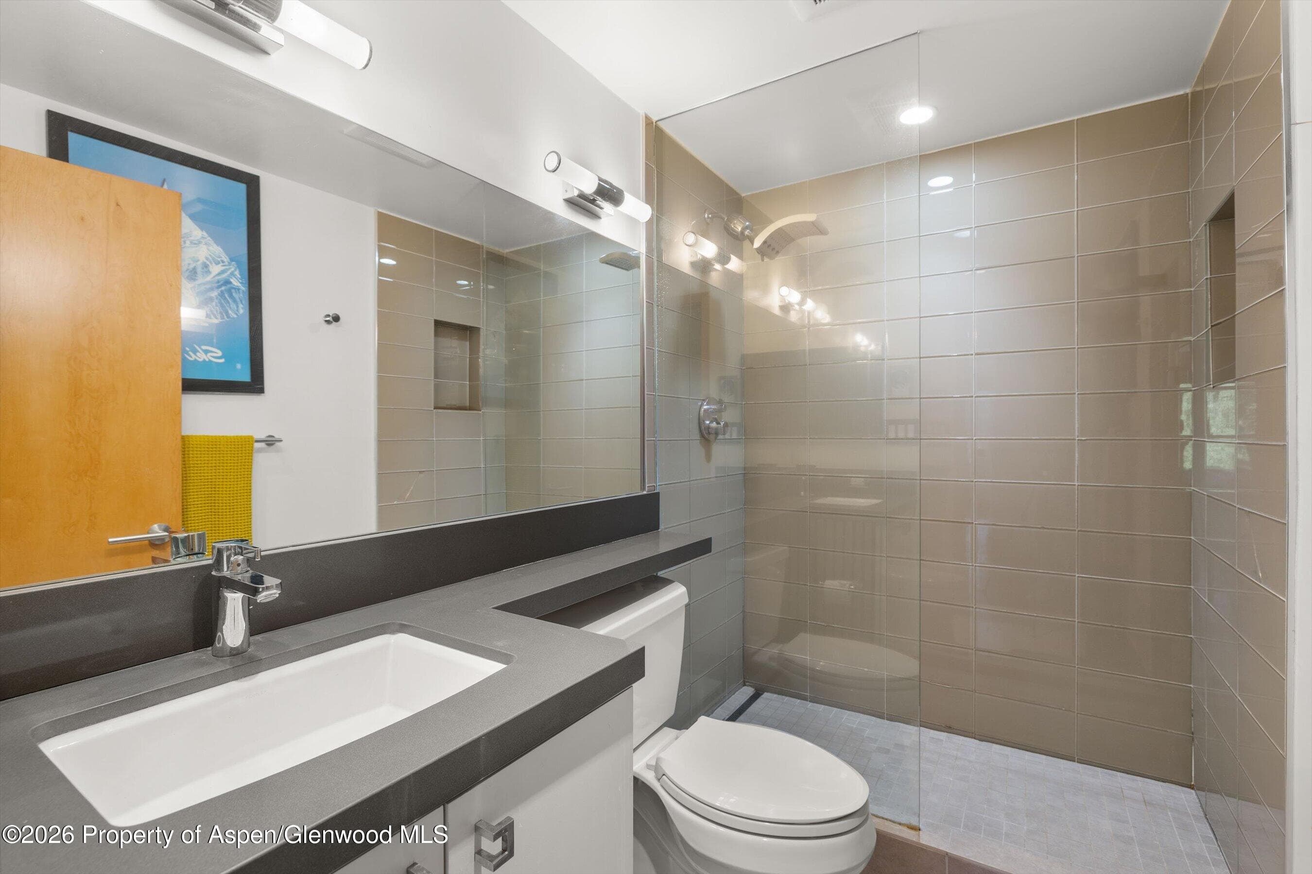 1221 Vine Street 1221, Aspen, CO 81611 - Photo 4