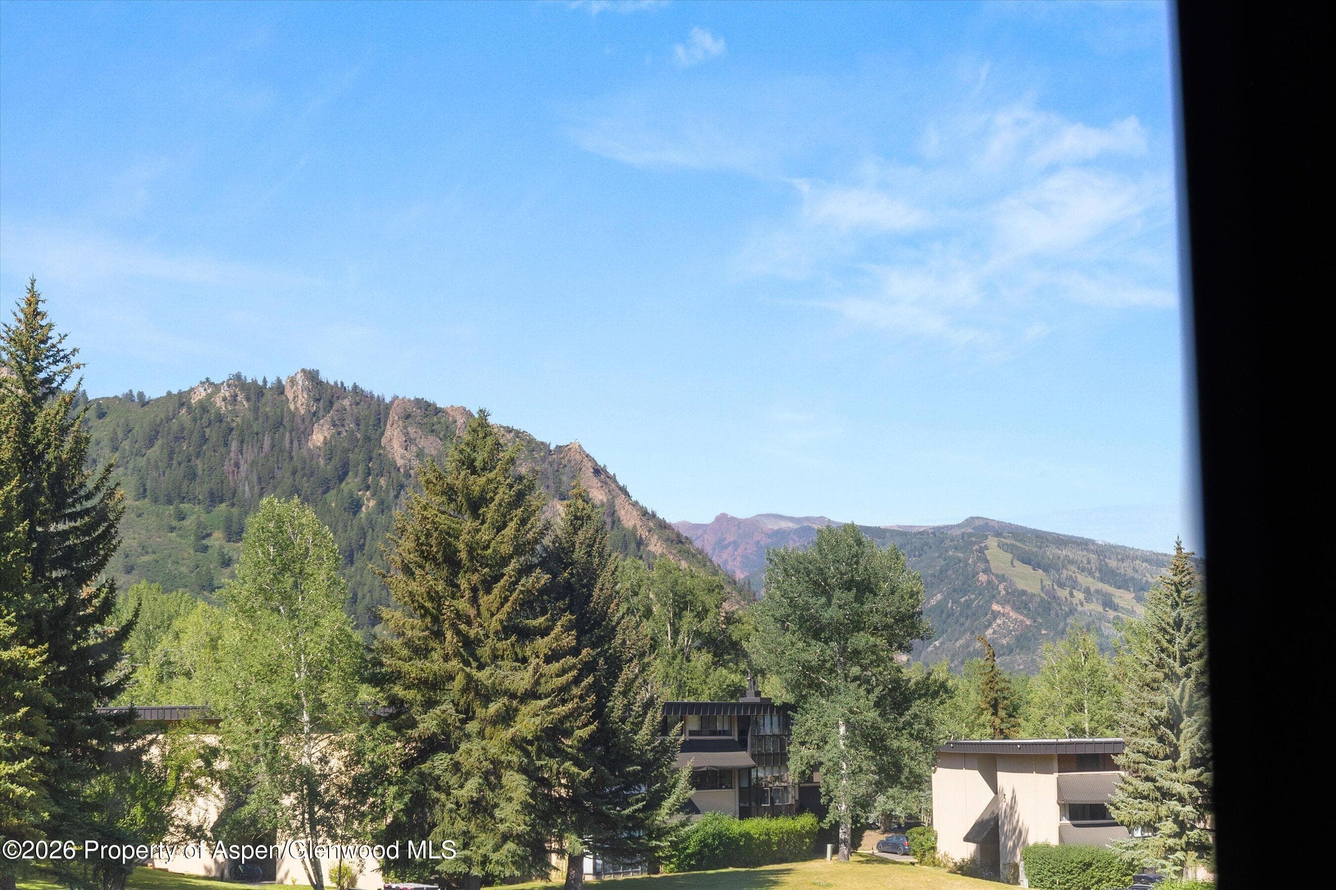 1221 Vine Street 1221, Aspen, CO 81611 - Photo 6