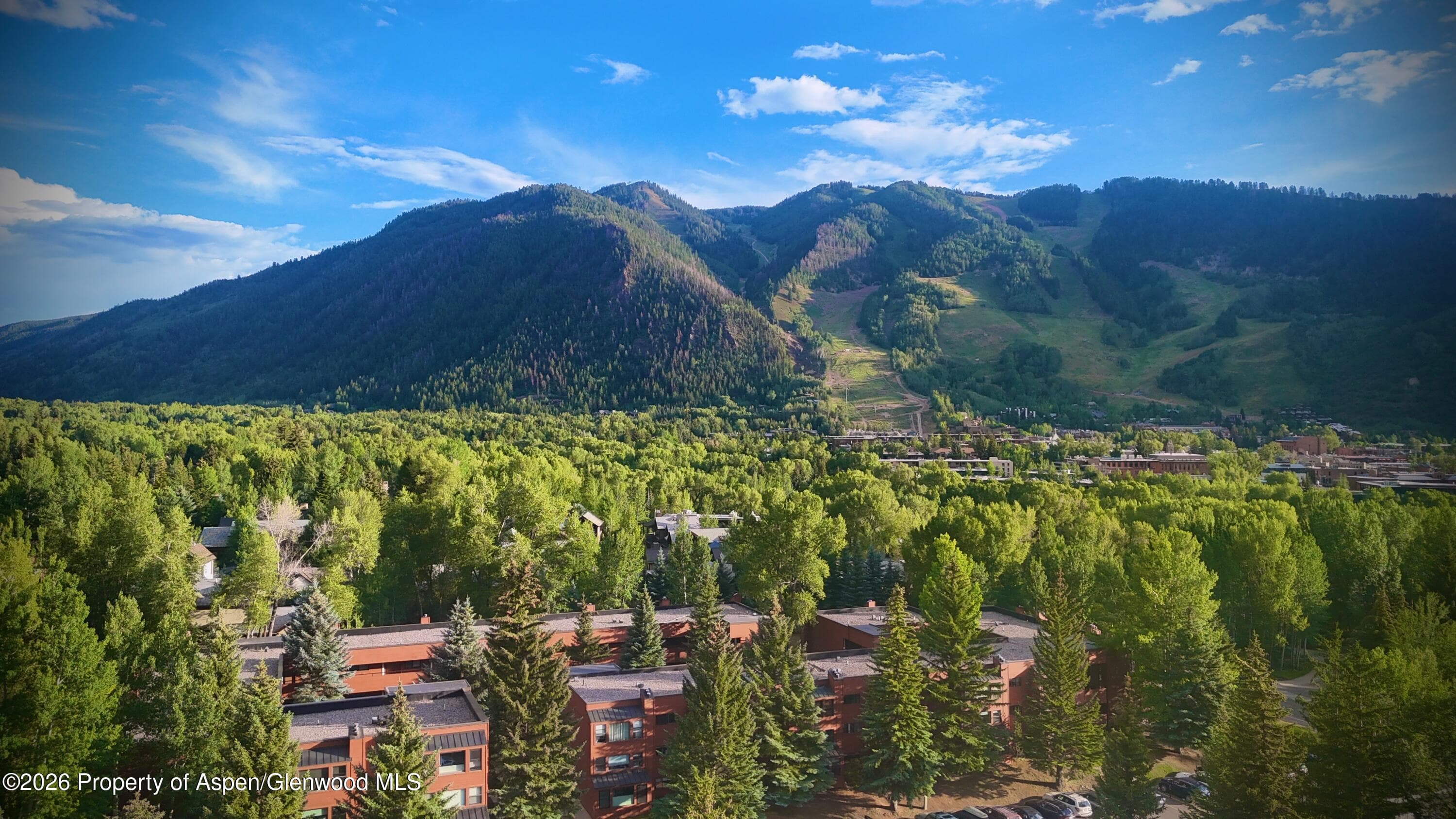 1221 Vine Street 1221, Aspen, CO 81611 - Photo 17