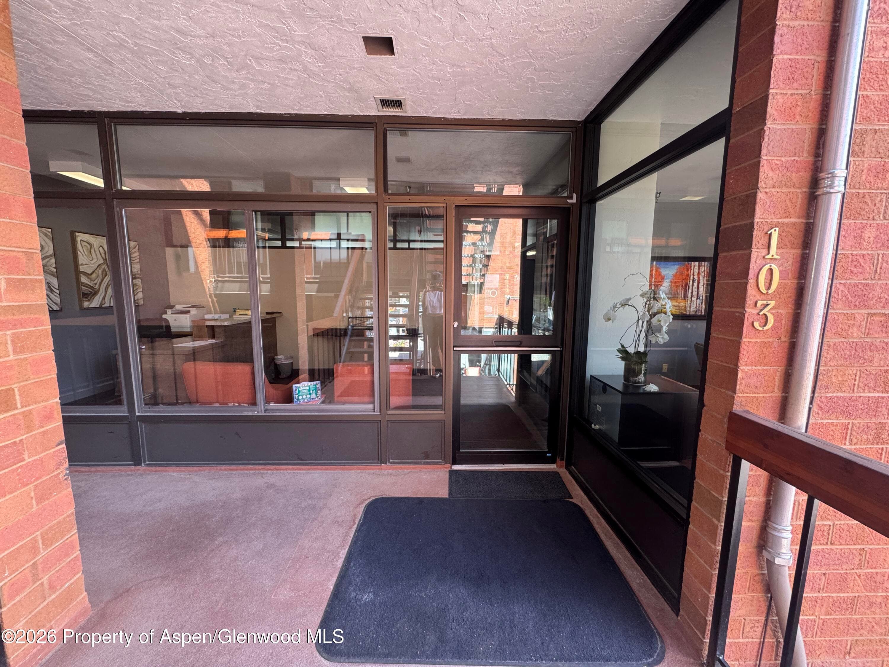 533 E Hopkins Ave 103, Aspen, CO 81611 - Photo 8