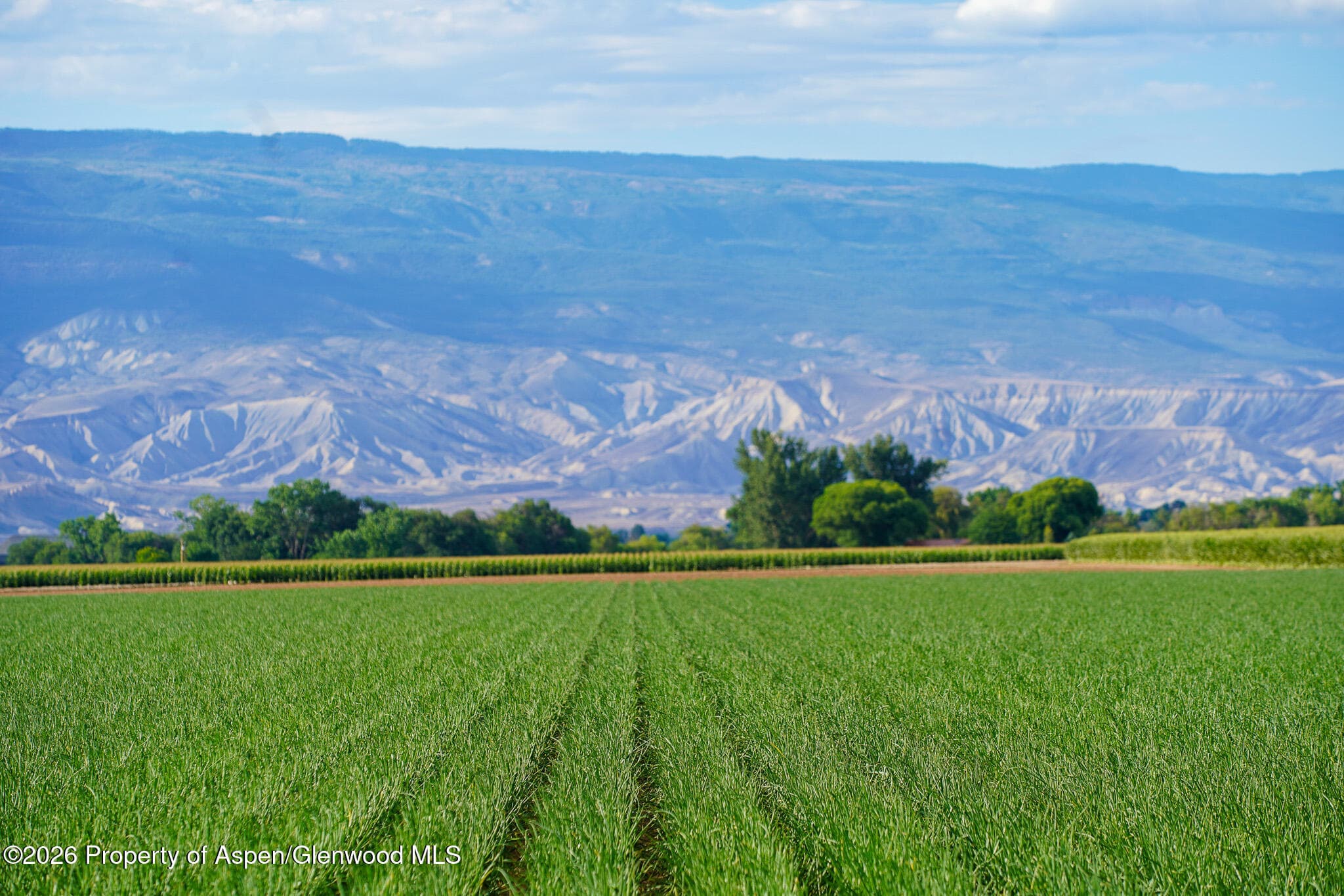 Tbd Banner Road, Delta, CO 81416