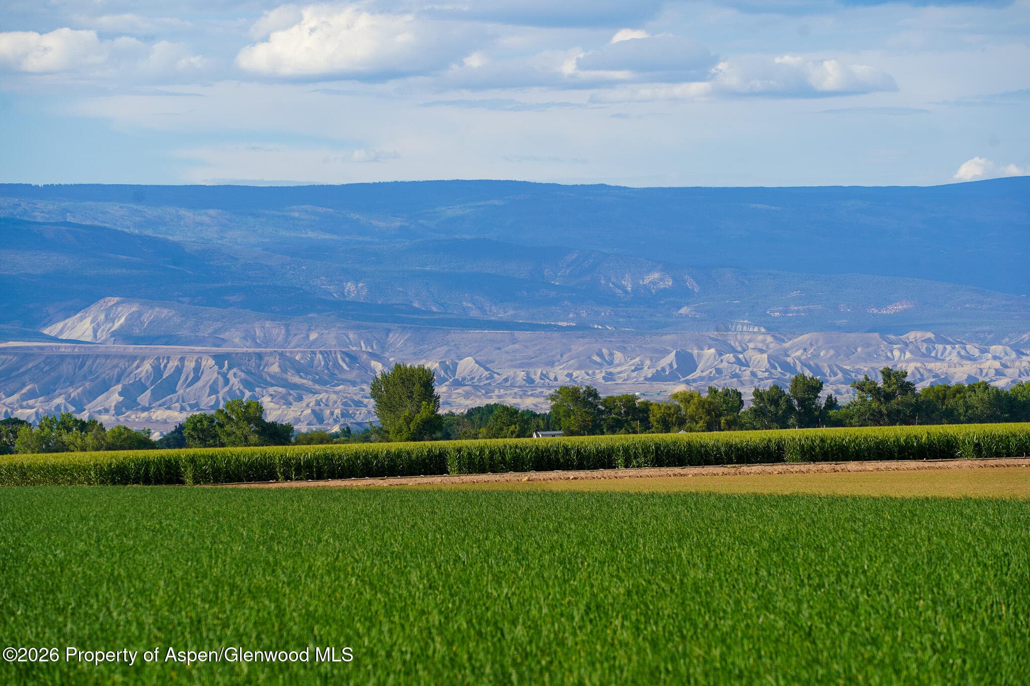 Tbd Banner Road, Delta, CO 81416 - Photo 4
