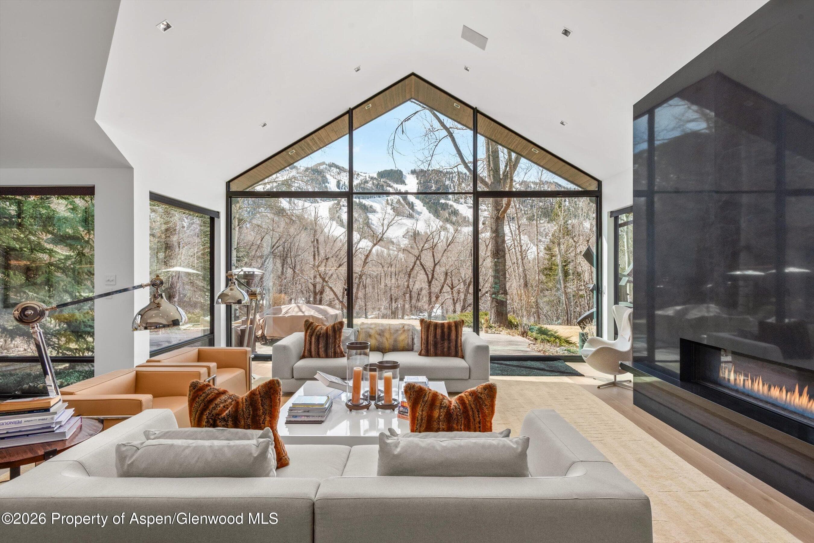 855 Gibson Avenue A, Aspen, CO 81611 - Photo 7