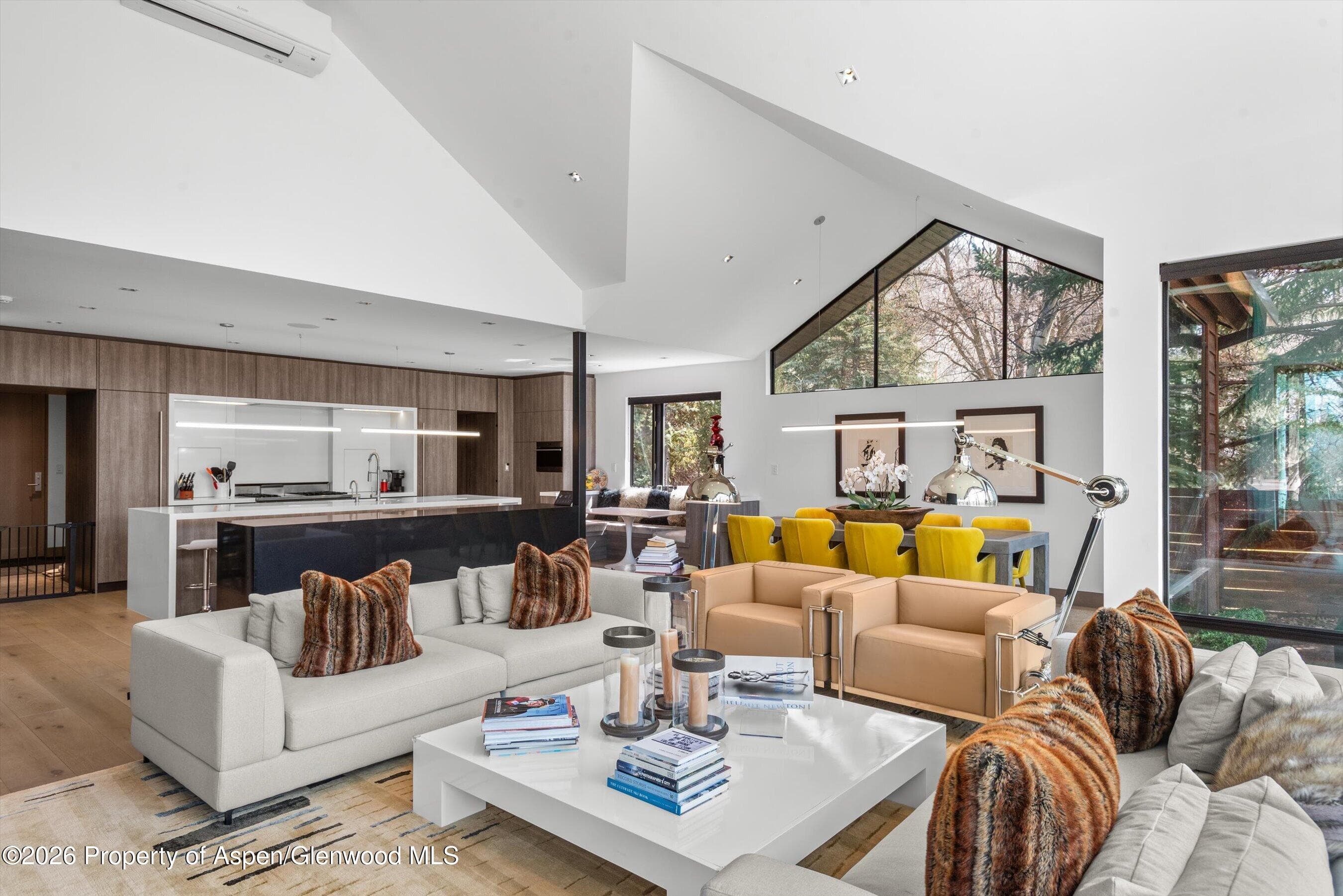 855 Gibson Avenue A, Aspen, CO 81611 - Photo 5