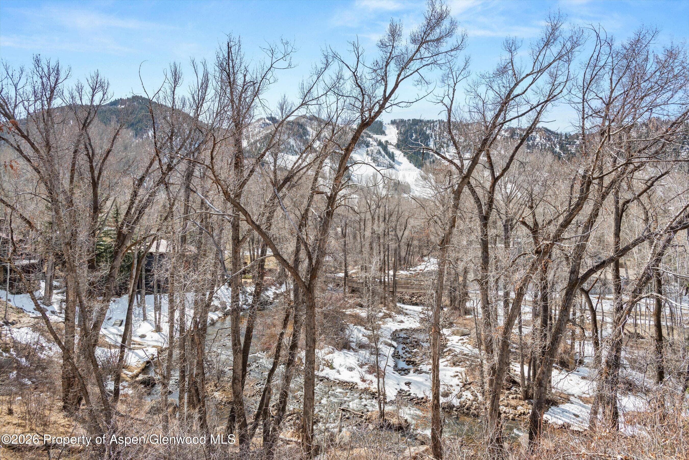 855 Gibson Avenue A, Aspen, CO 81611 - Photo 24