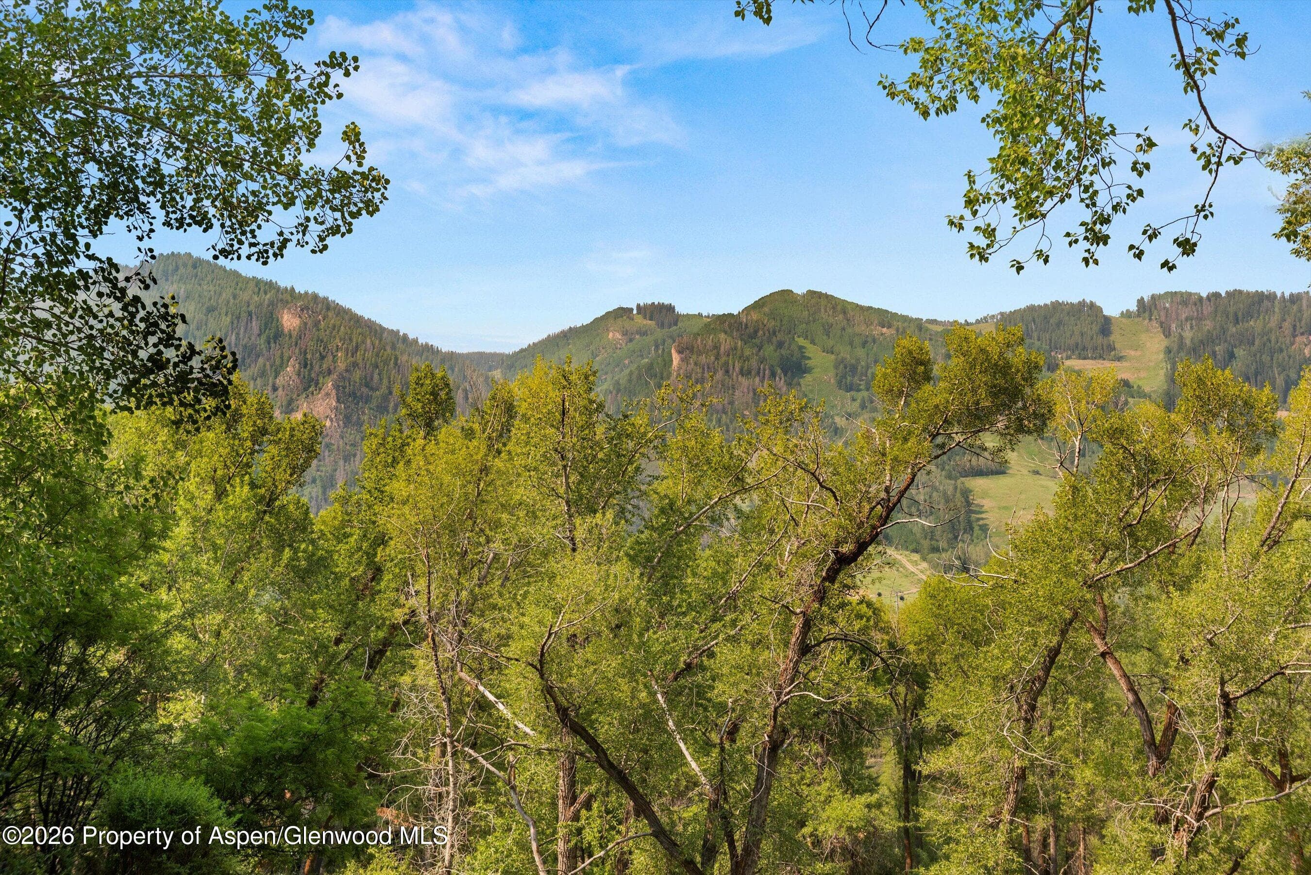 855 Gibson Avenue A, Aspen, CO 81611 - Photo 22