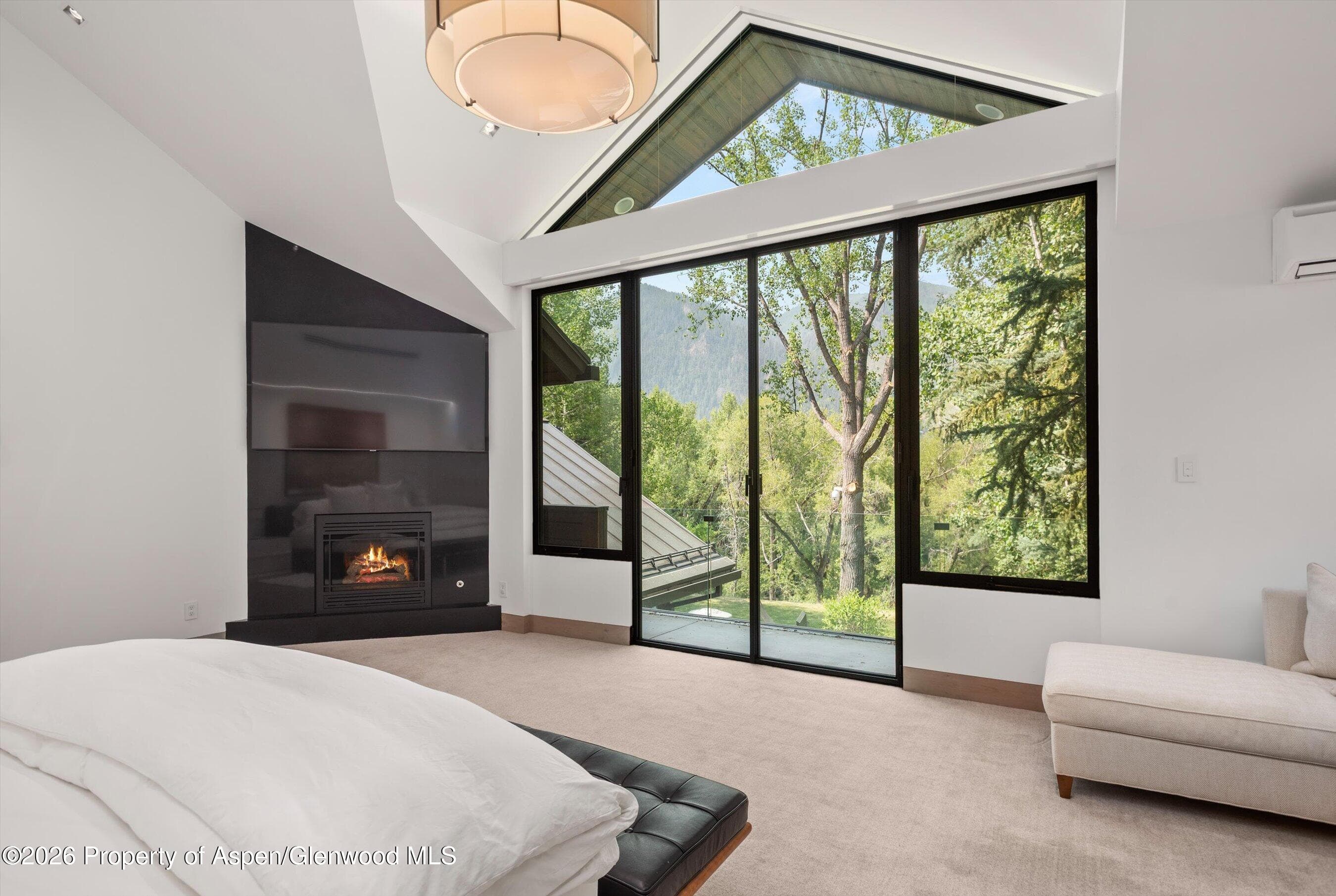 855 Gibson Avenue A, Aspen, CO 81611 - Photo 13