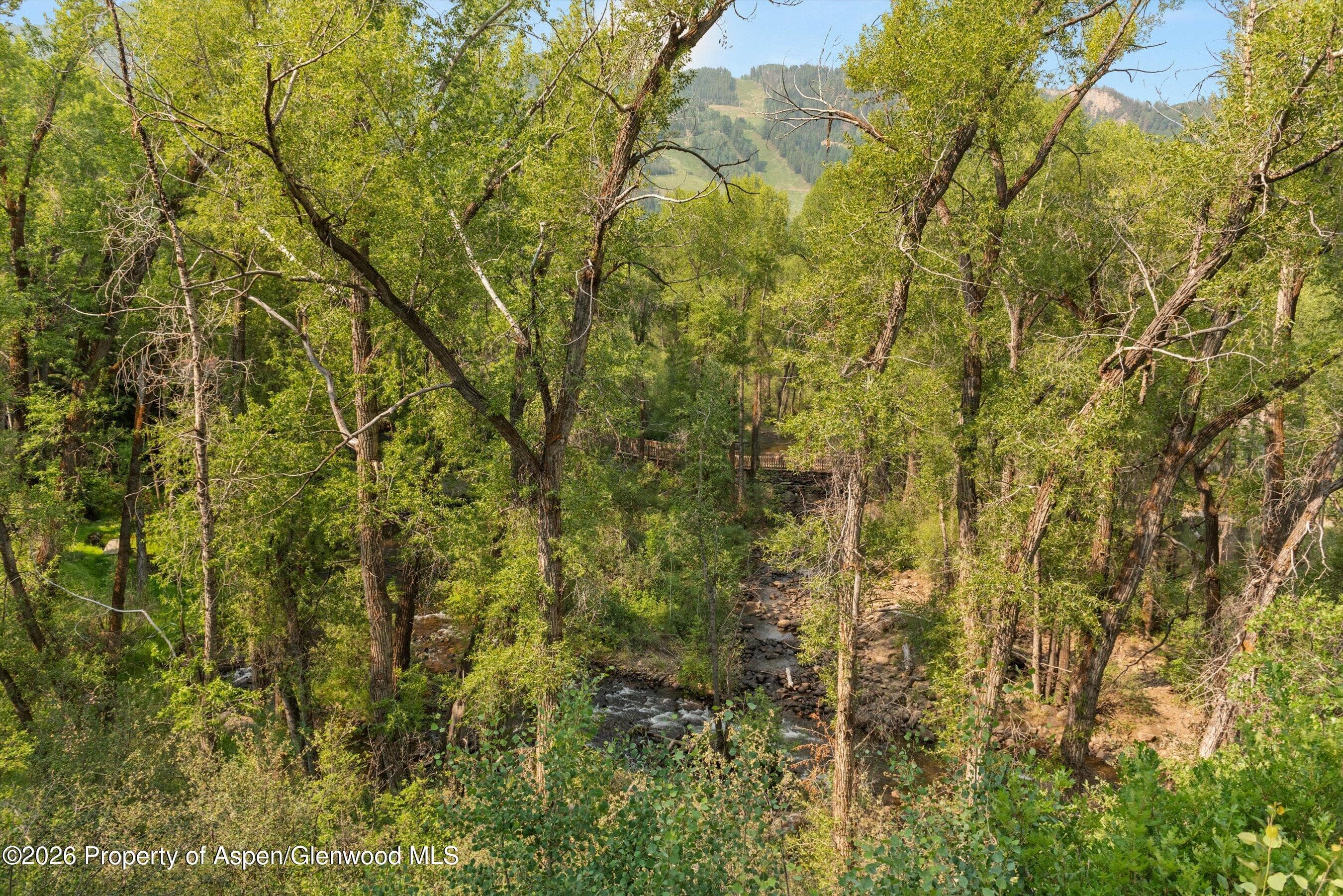 855 Gibson Avenue A, Aspen, CO 81611 - Photo 25