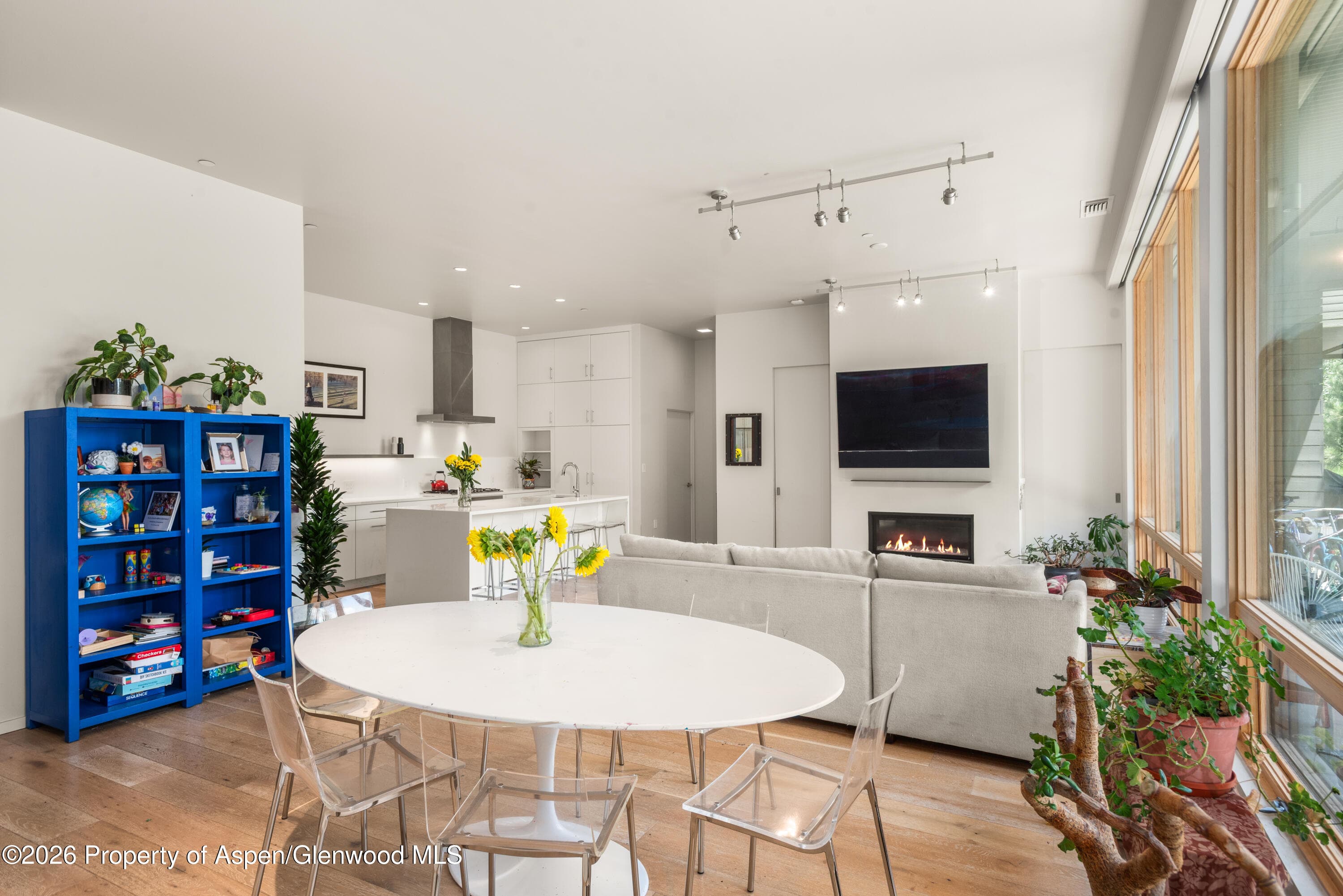 100 Evans Road 104, Basalt, CO 81621 - Photo 7