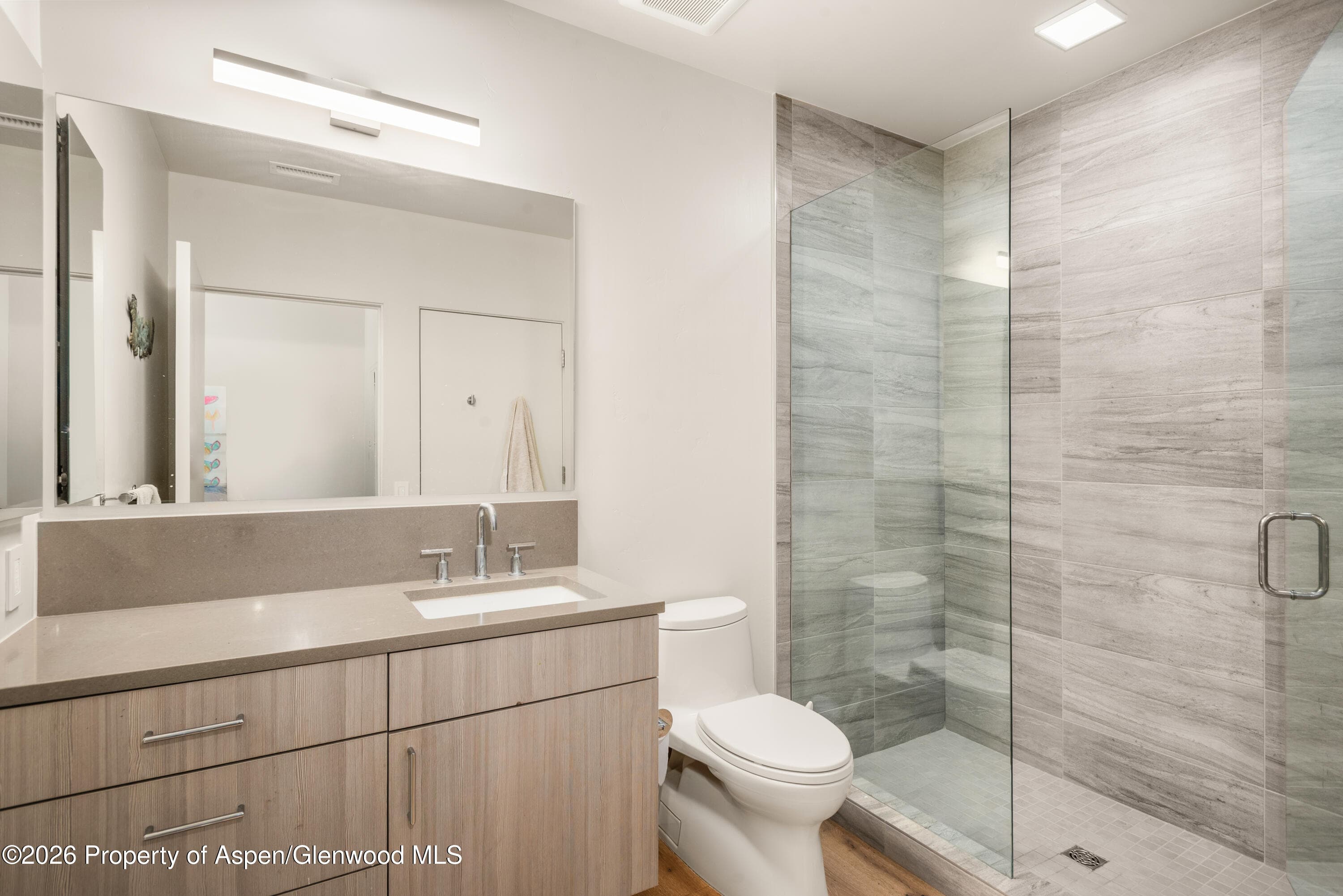 100 Evans Road 104, Basalt, CO 81621 - Photo 19