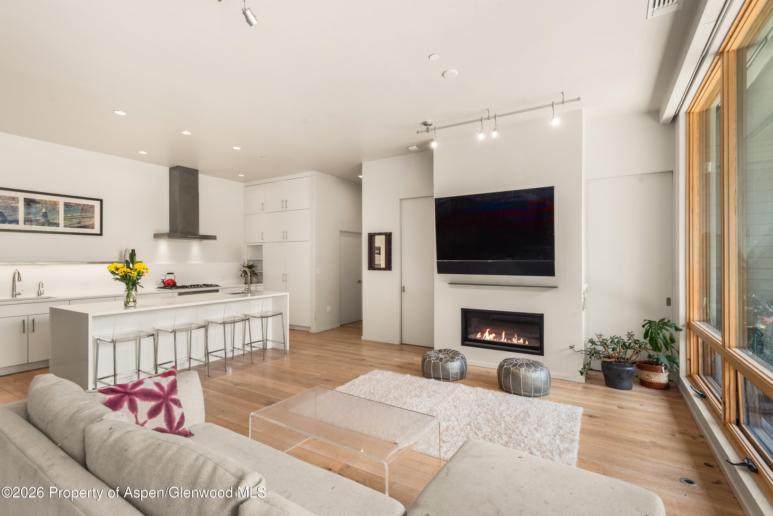100 Evans Road 104, Basalt, CO 81621 - Photo 4