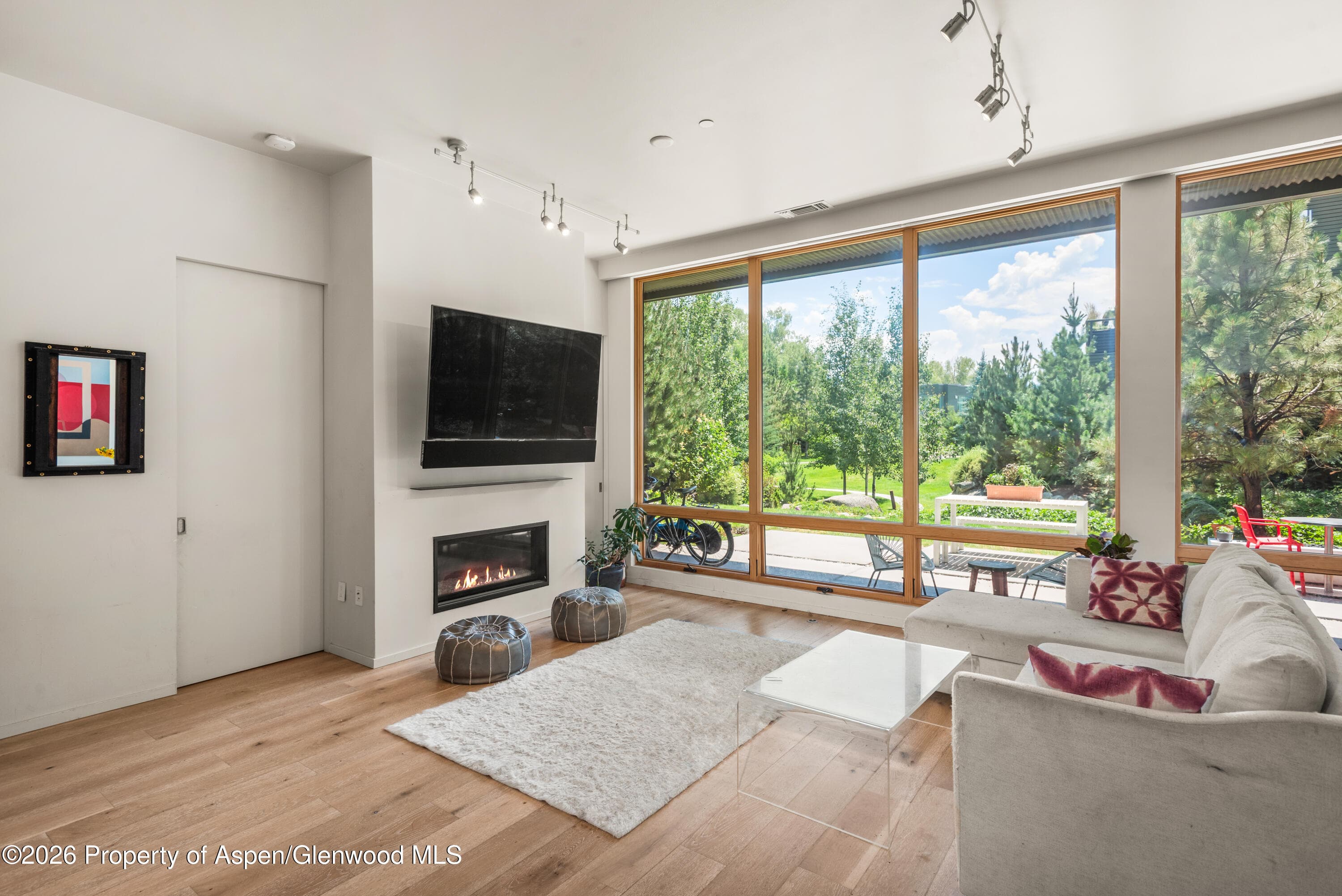 100 Evans Road 104, Basalt, CO 81621 - Photo 5