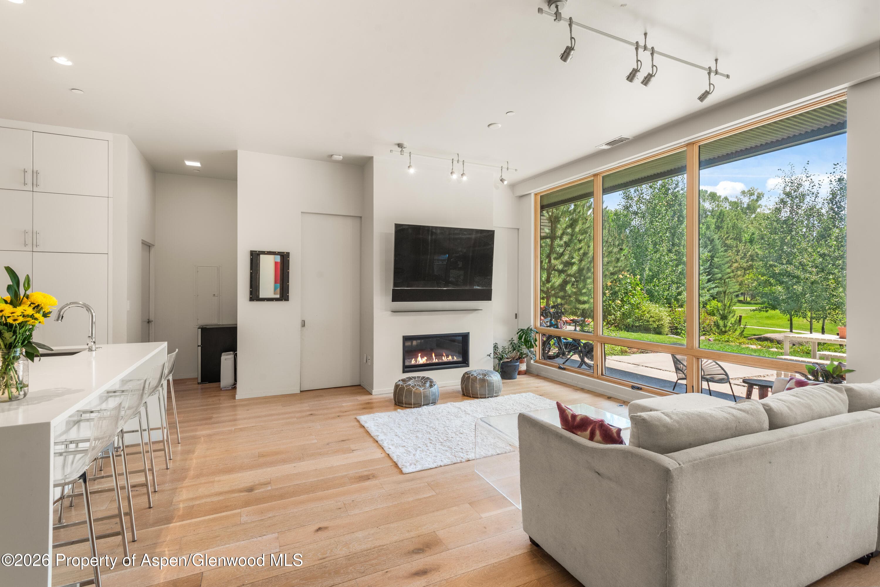 100 Evans Road 104, Basalt, CO 81621 - Photo 6
