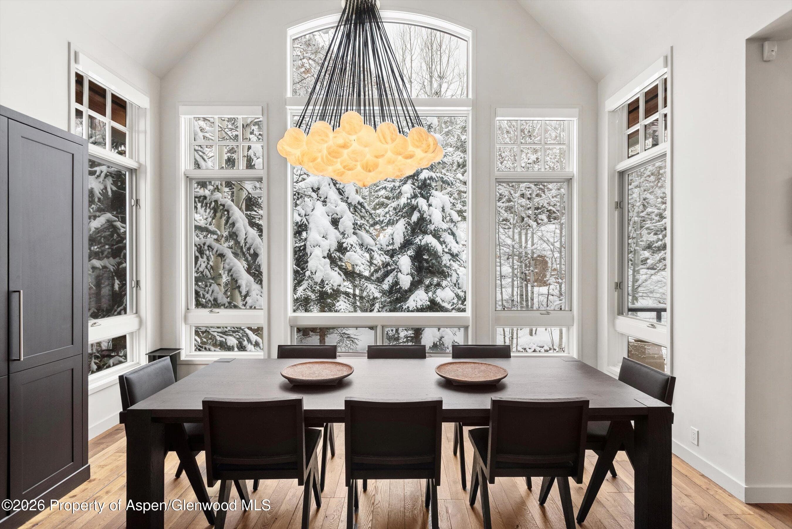 971 Ute Avenue, Aspen, CO 81611 - Photo 48