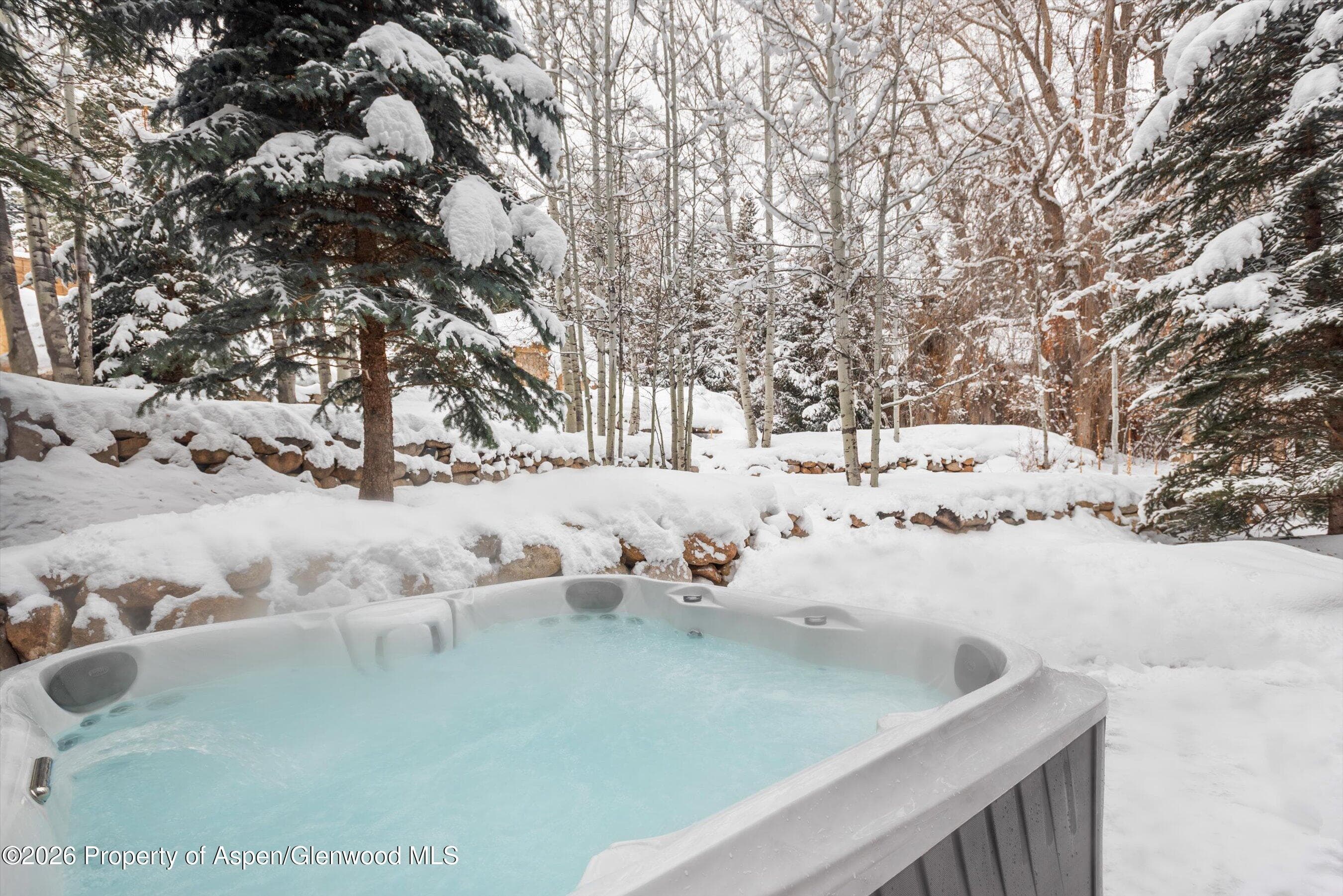 971 Ute Avenue, Aspen, CO 81611 - Photo 54