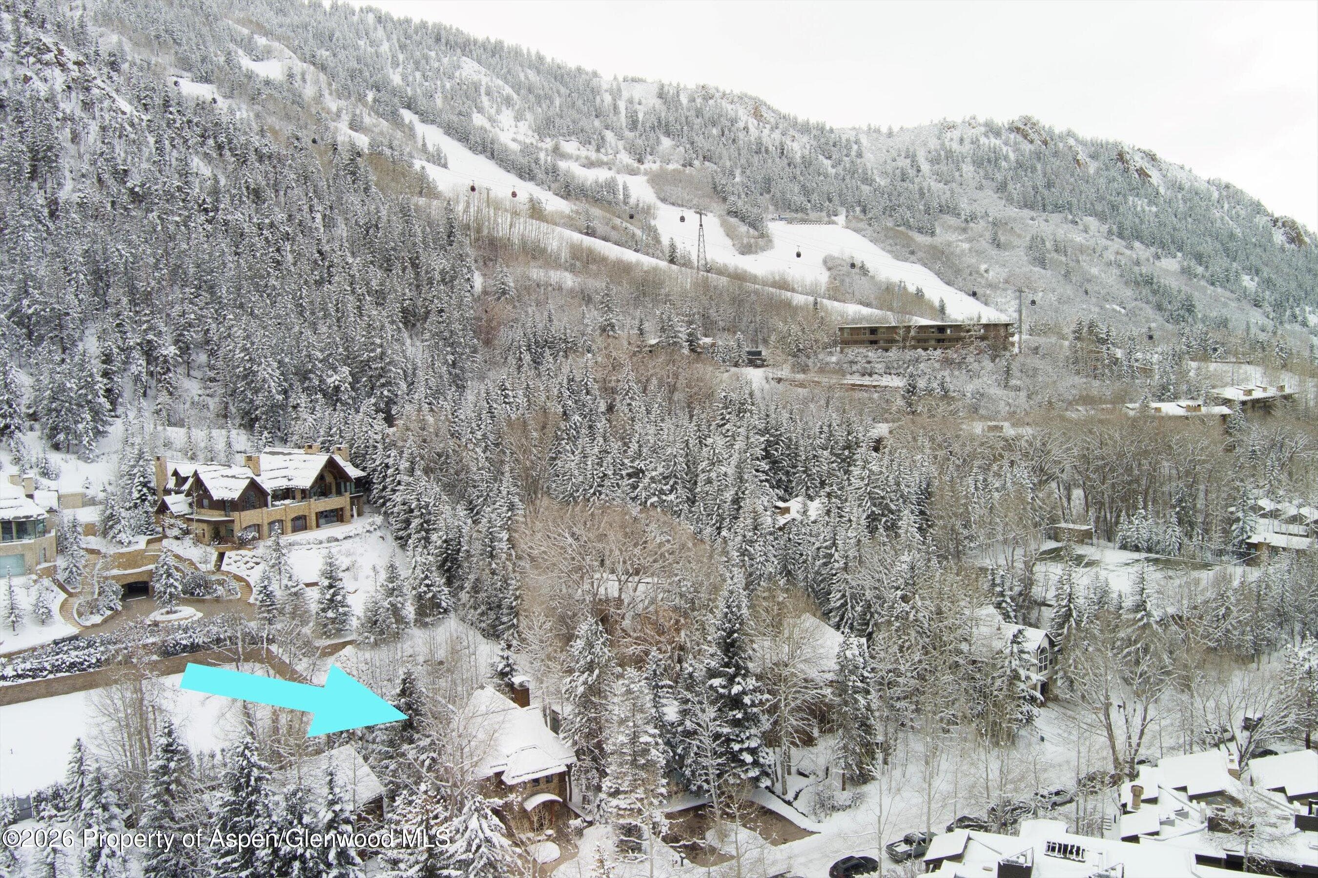 971 Ute Avenue, Aspen, CO 81611 - Photo 56
