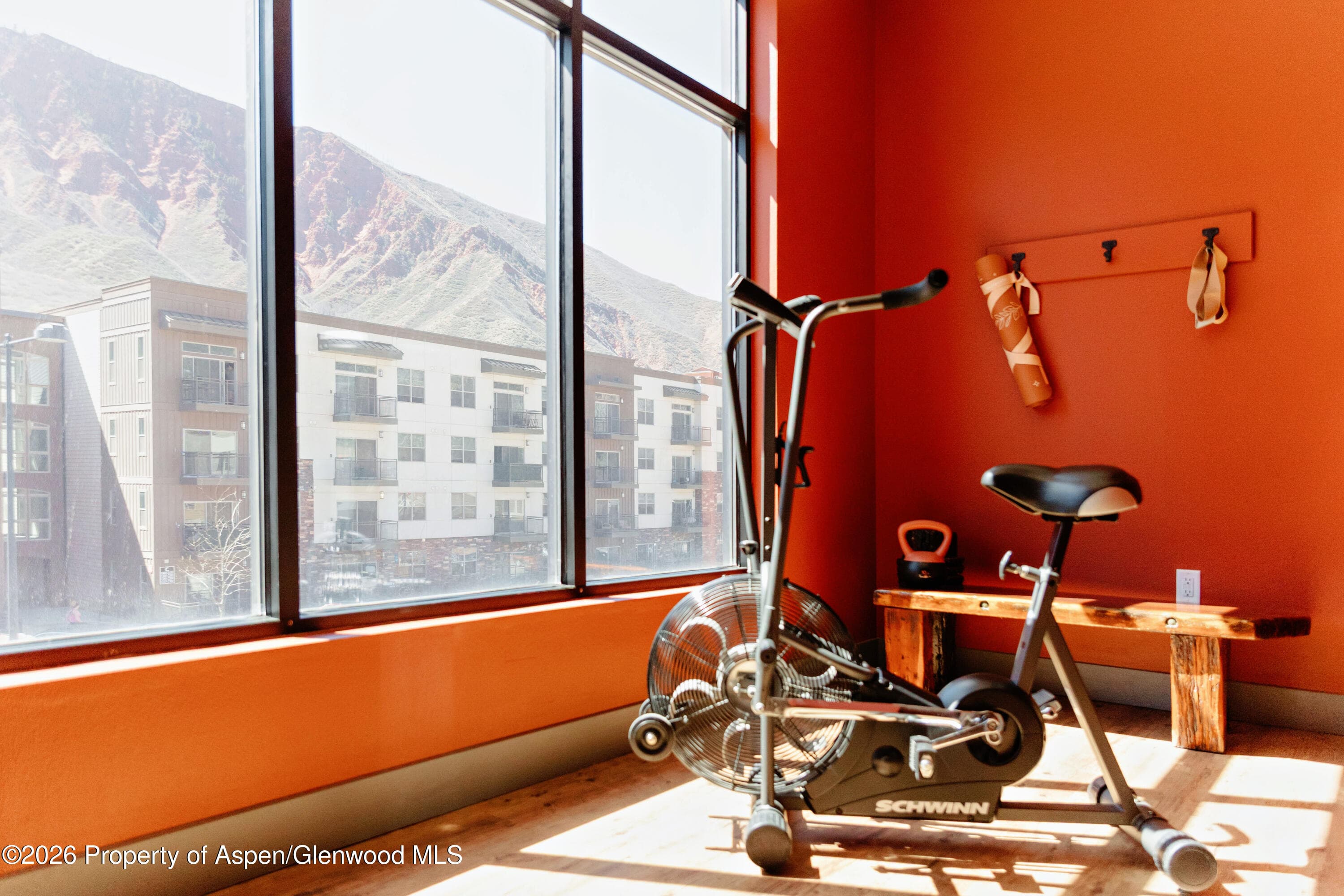 253 Wulfsohn Road 117, Glenwood Springs, CO 81601 - Photo 12