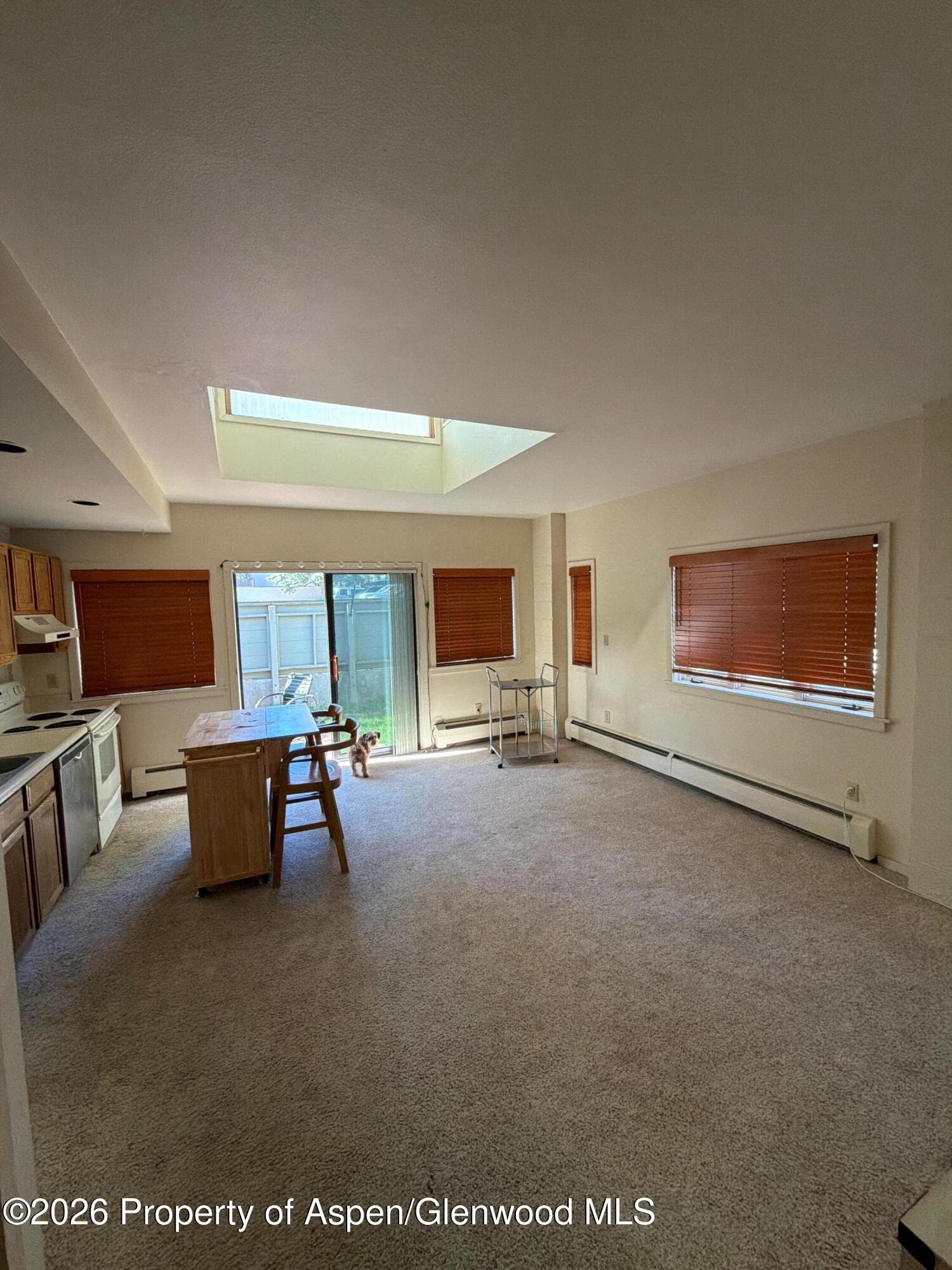 408 Aspen Airport Business Center, Aspen, CO 81611 - Photo 23