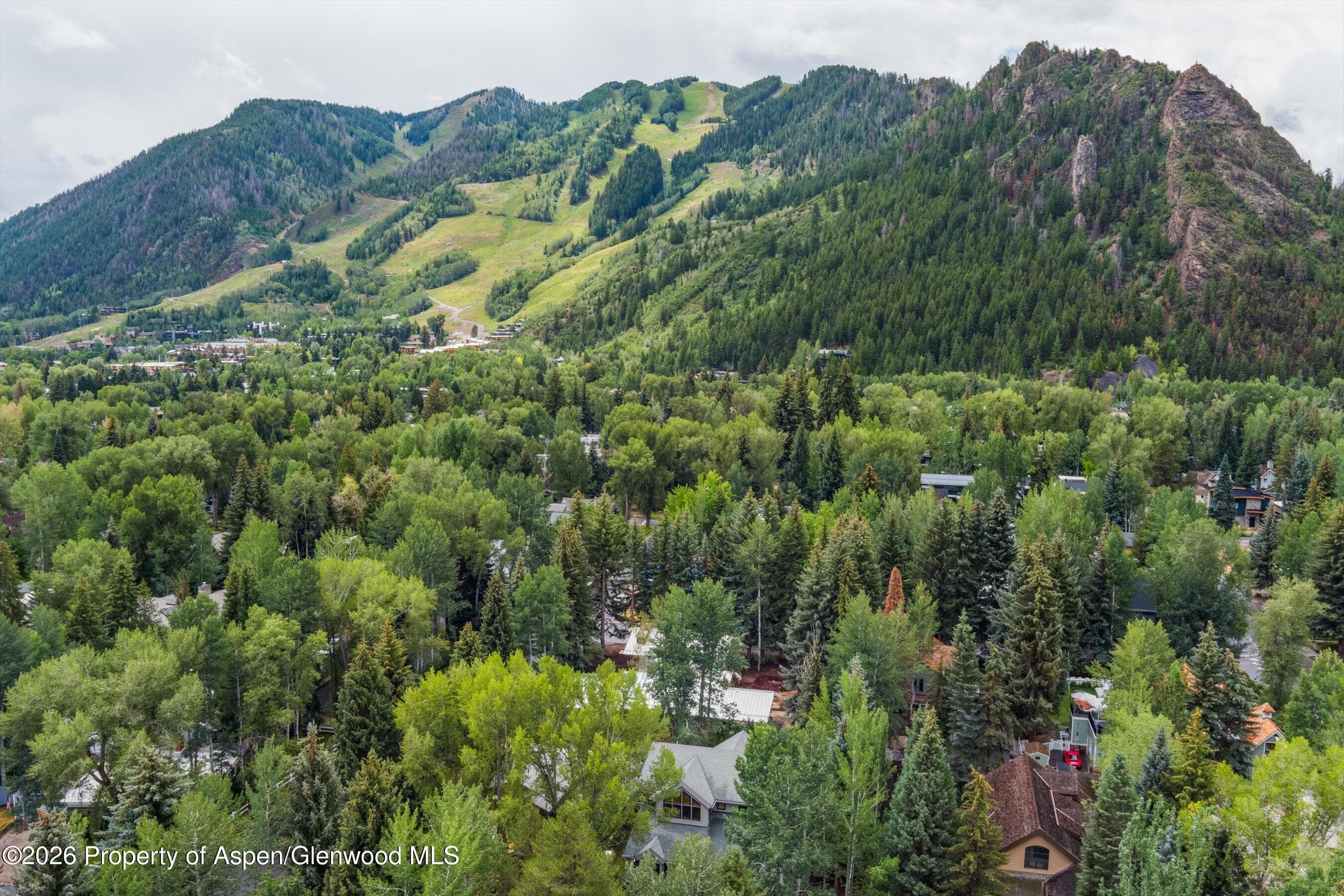 413 W Smuggler Street, Aspen, CO 81611 - Photo 29