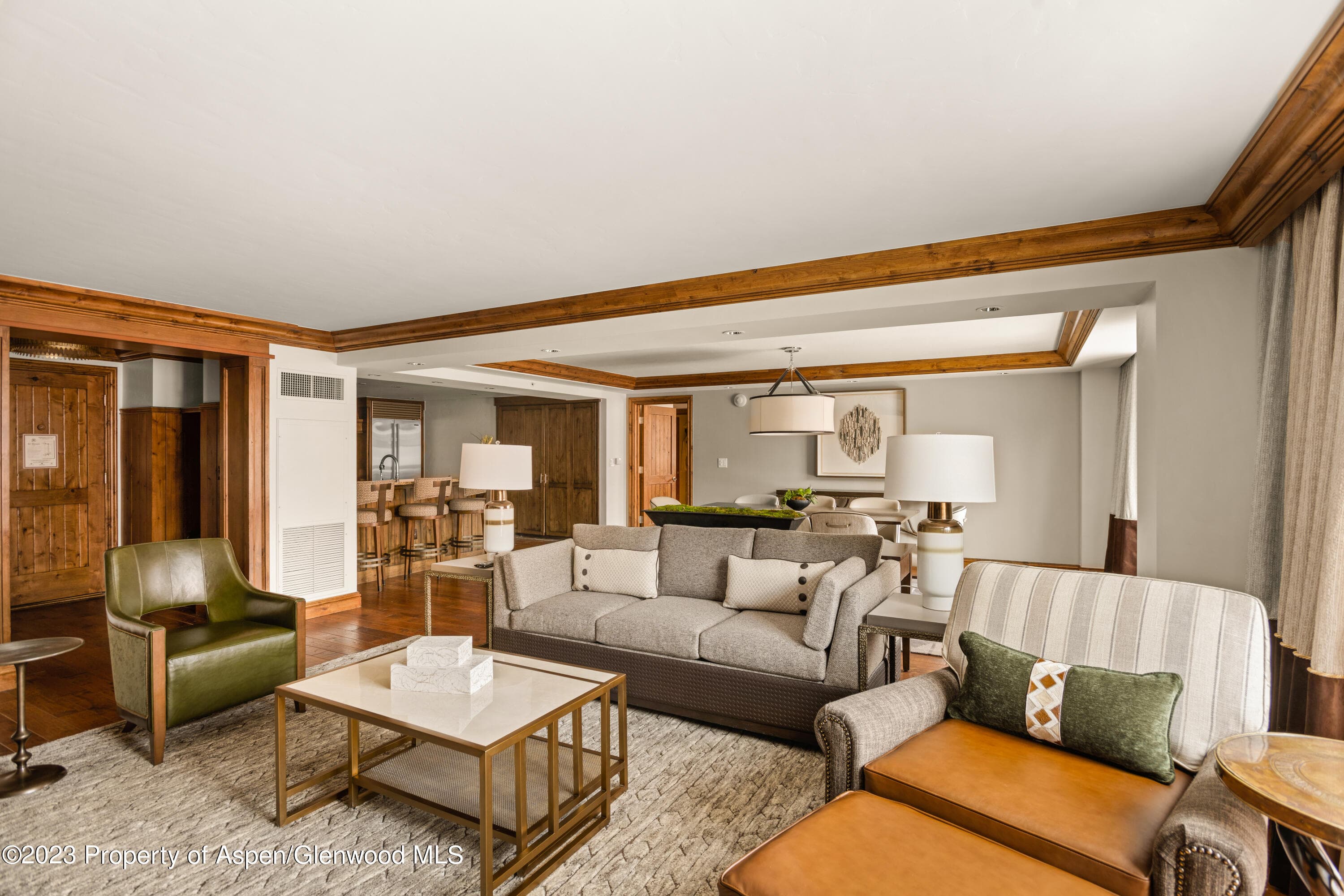 315 E Dean Street B55, Aspen, CO 81611 - Photo 4