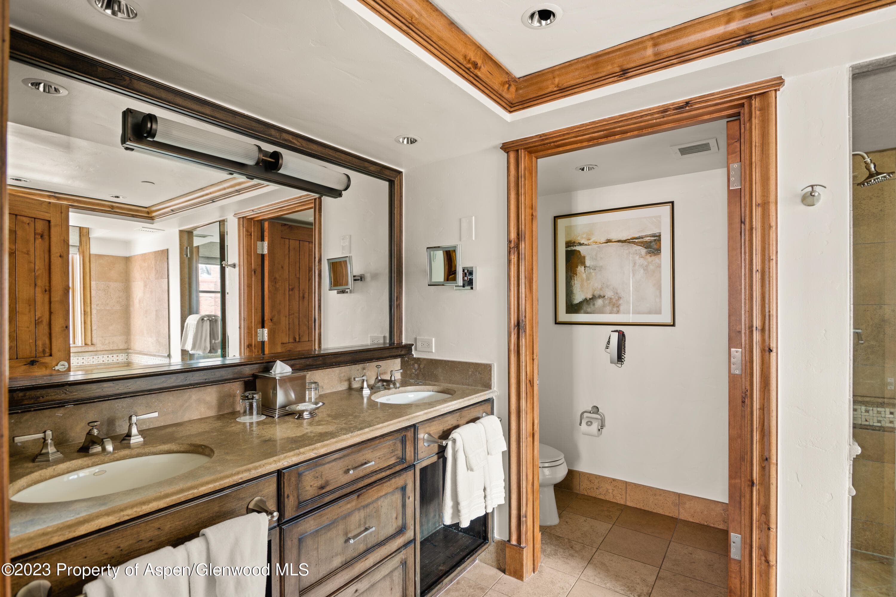 315 E Dean Street B55, Aspen, CO 81611 - Photo 9