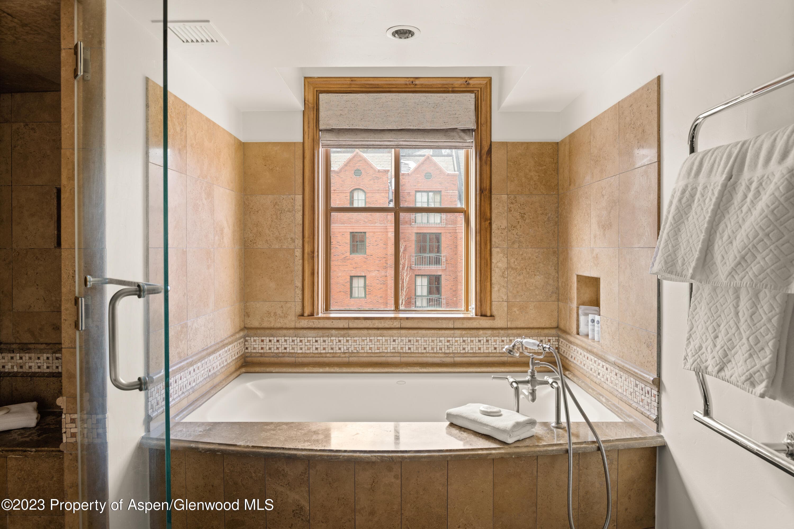315 E Dean Street B55, Aspen, CO 81611 - Photo 10