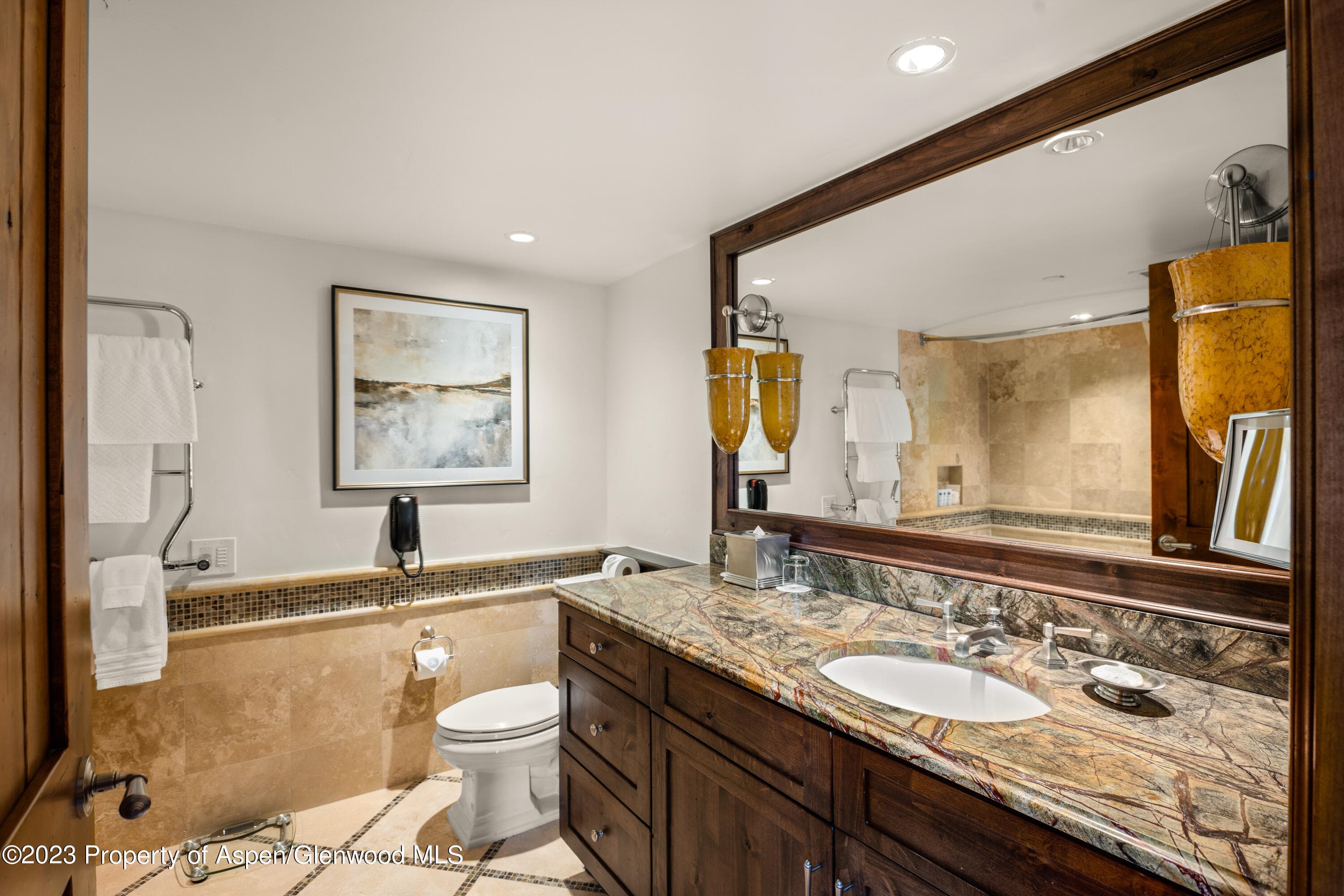 315 E Dean Street B55, Aspen, CO 81611 - Photo 12
