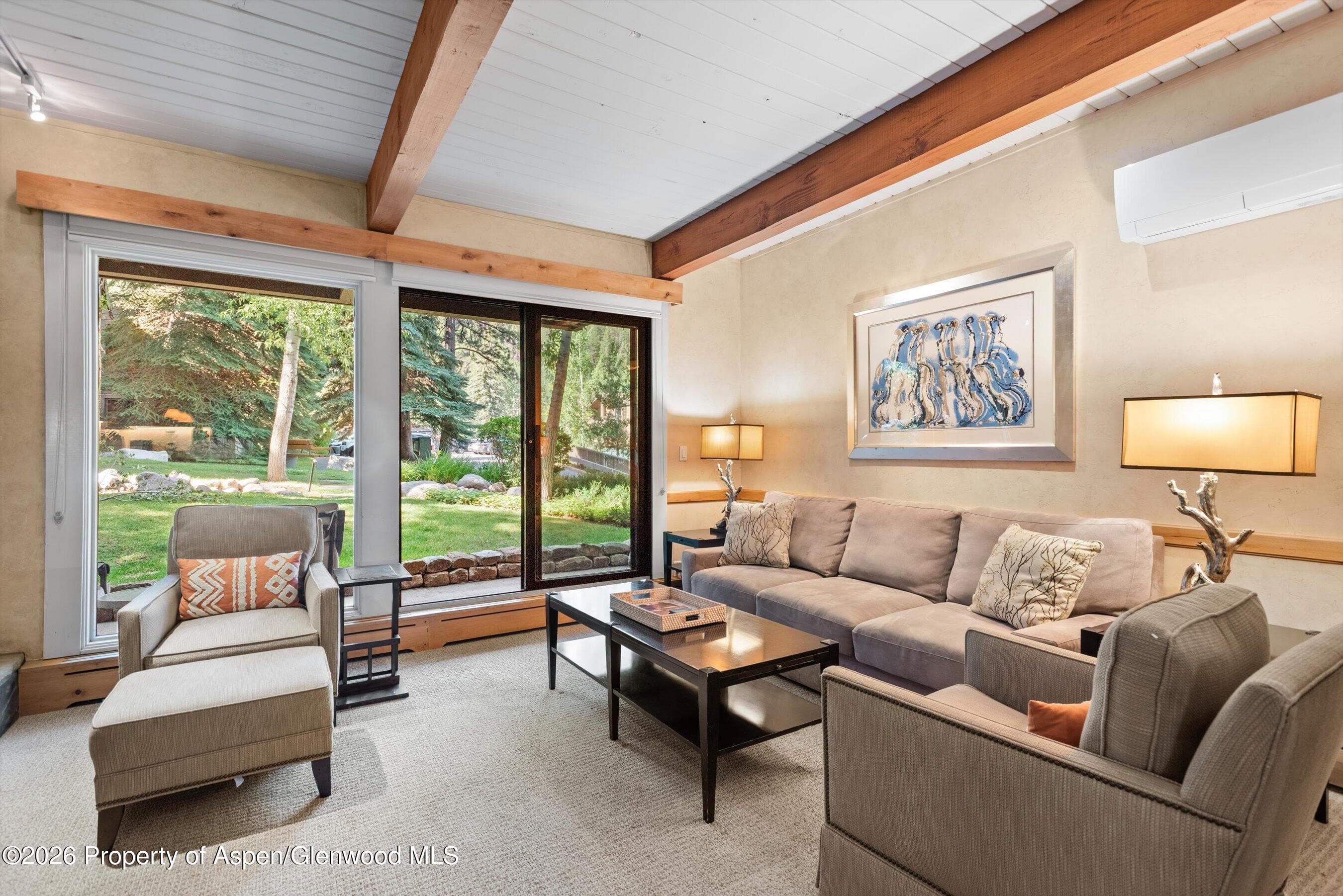 610 S West End Street D105, Aspen, CO 81611