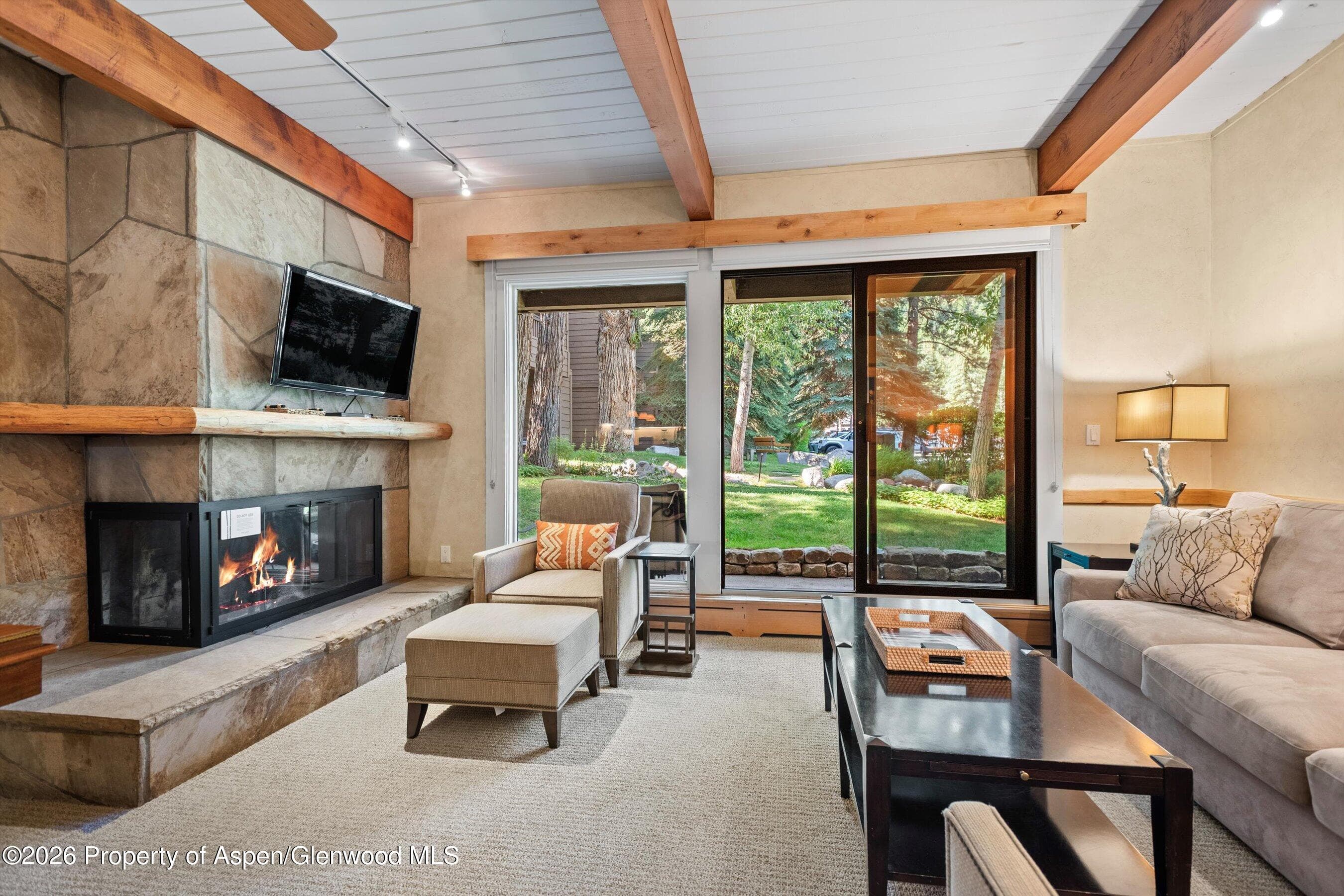 610 S West End Street D105, Aspen, CO 81611 - Photo 2