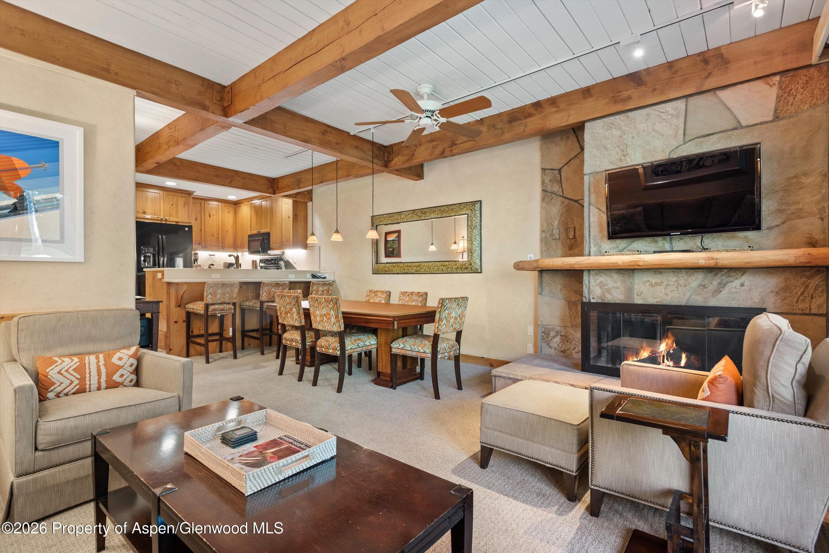 610 S West End Street D105, Aspen, CO 81611 - Photo 6