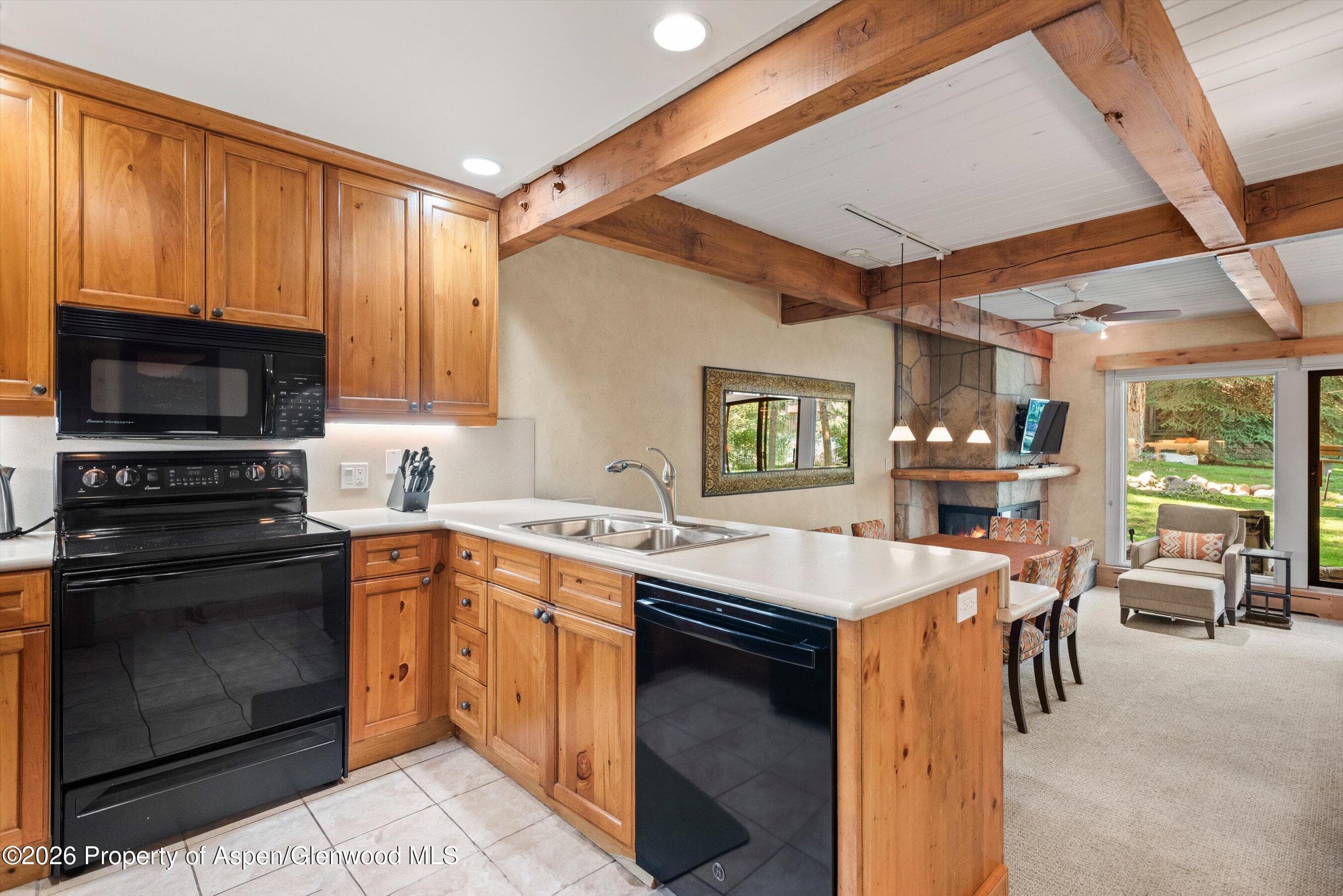 610 S West End Street D105, Aspen, CO 81611 - Photo 10