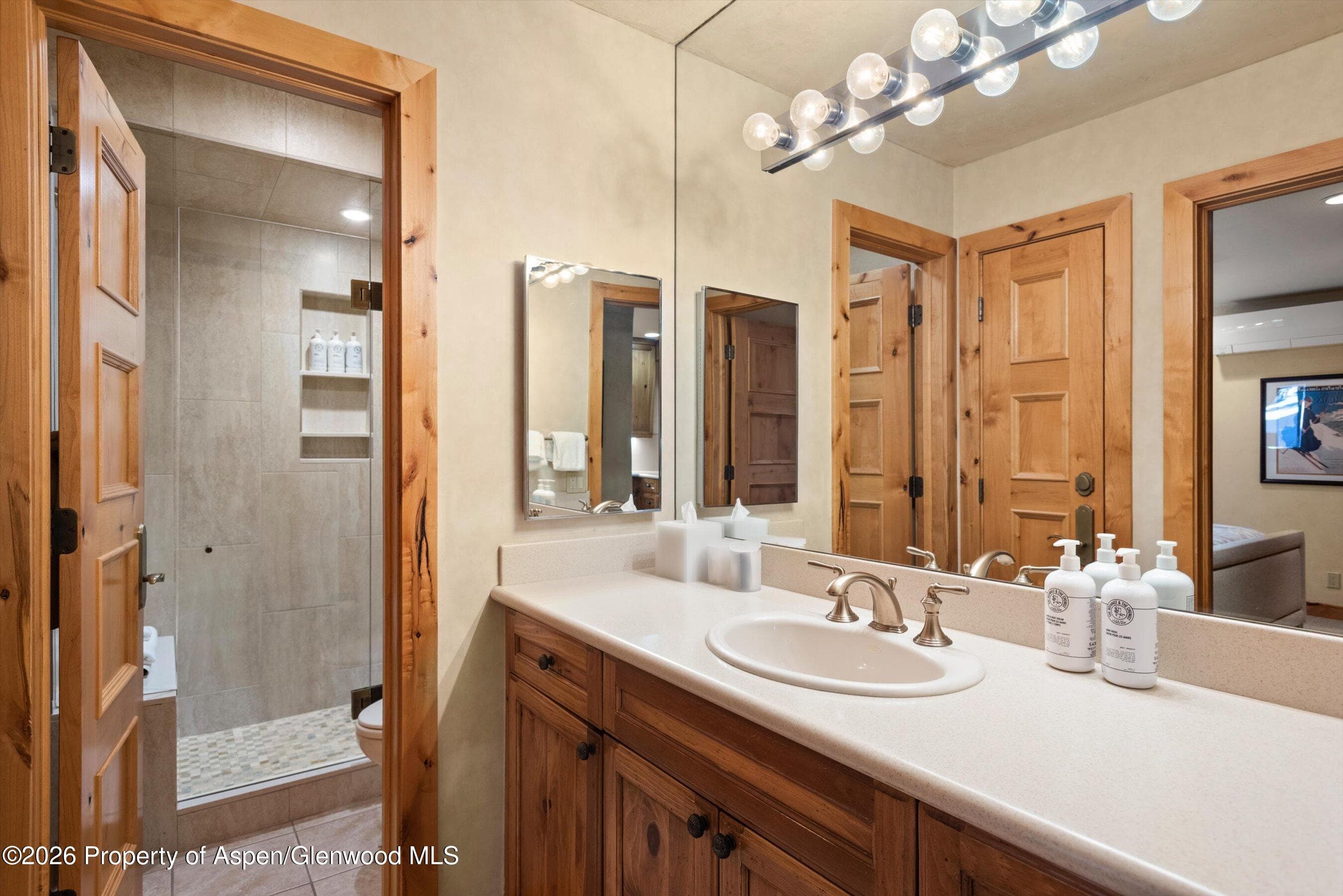610 S West End Street D105, Aspen, CO 81611 - Photo 13