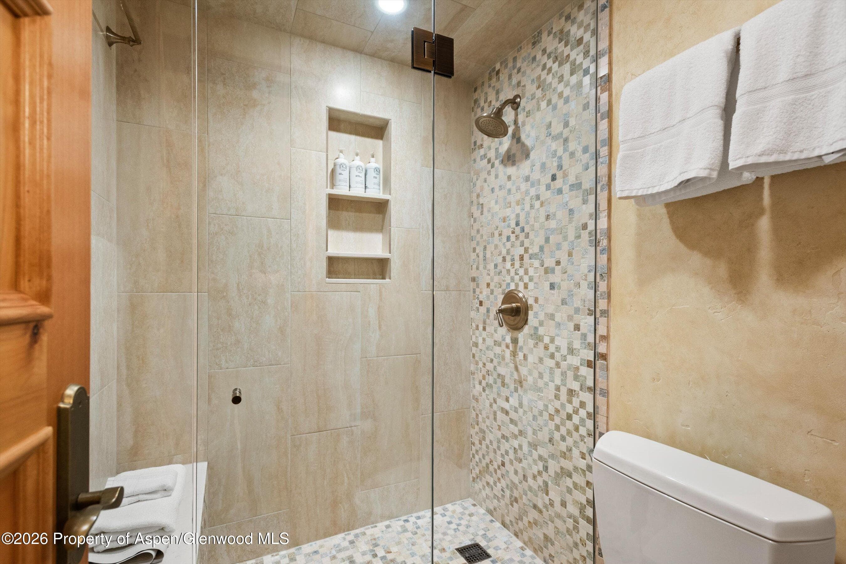 610 S West End Street D105, Aspen, CO 81611 - Photo 14