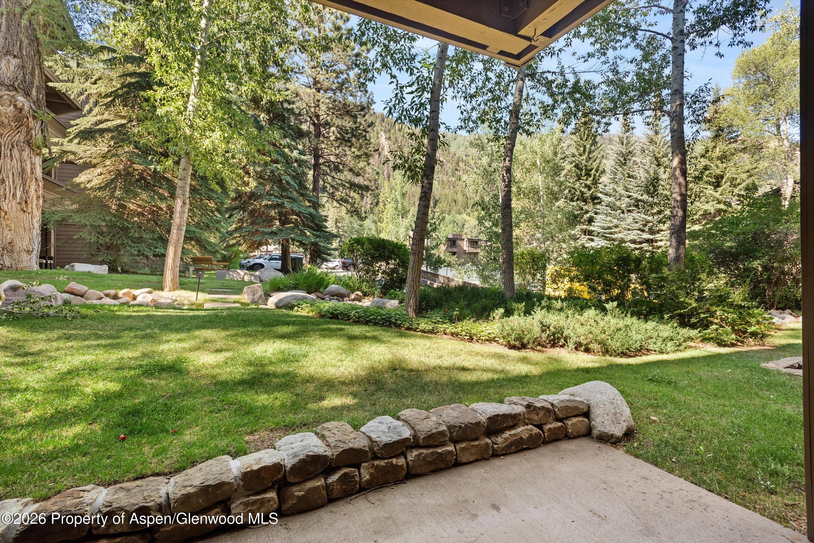 610 S West End Street D105, Aspen, CO 81611 - Photo 5