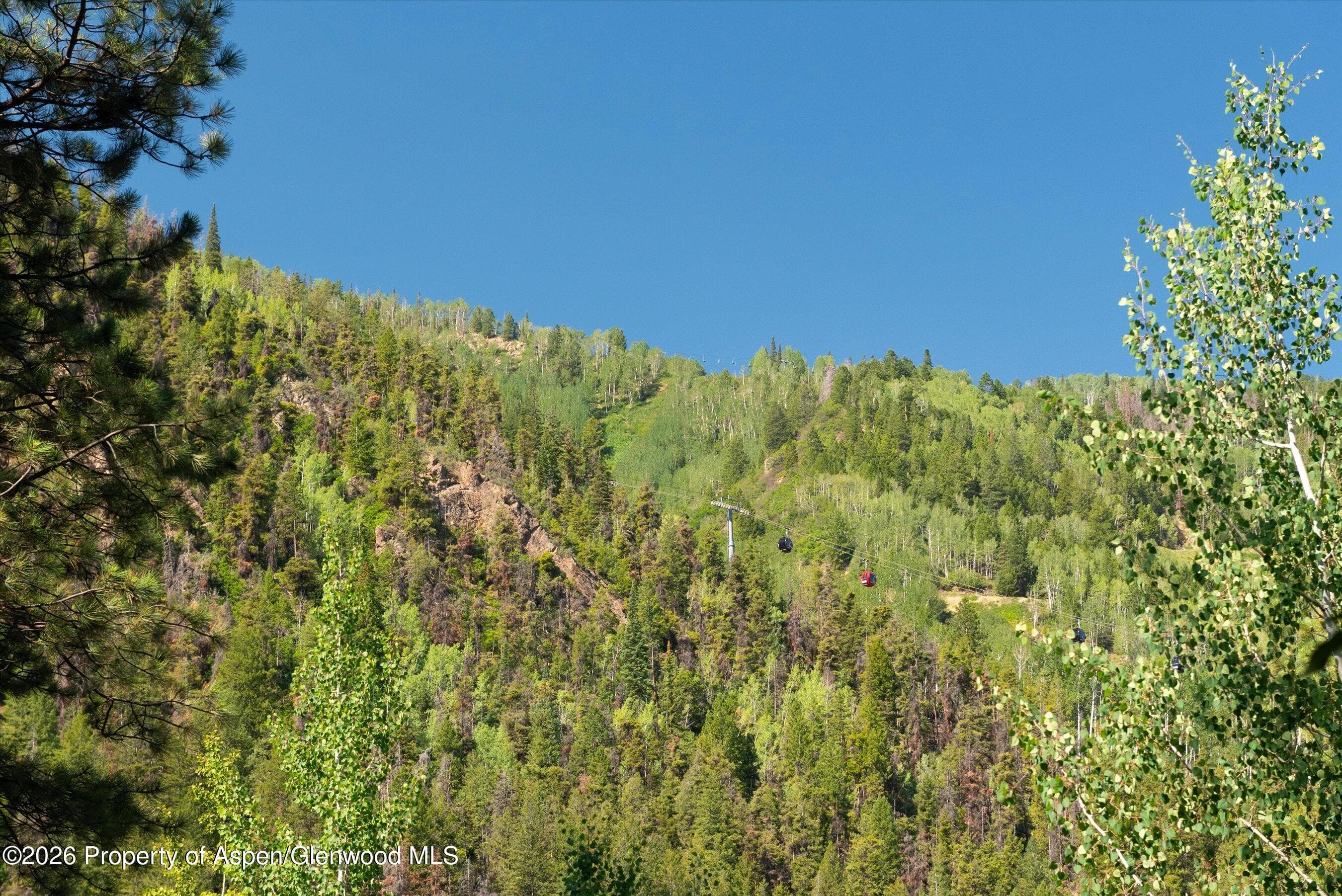 610 S West End Street D105, Aspen, CO 81611 - Photo 19