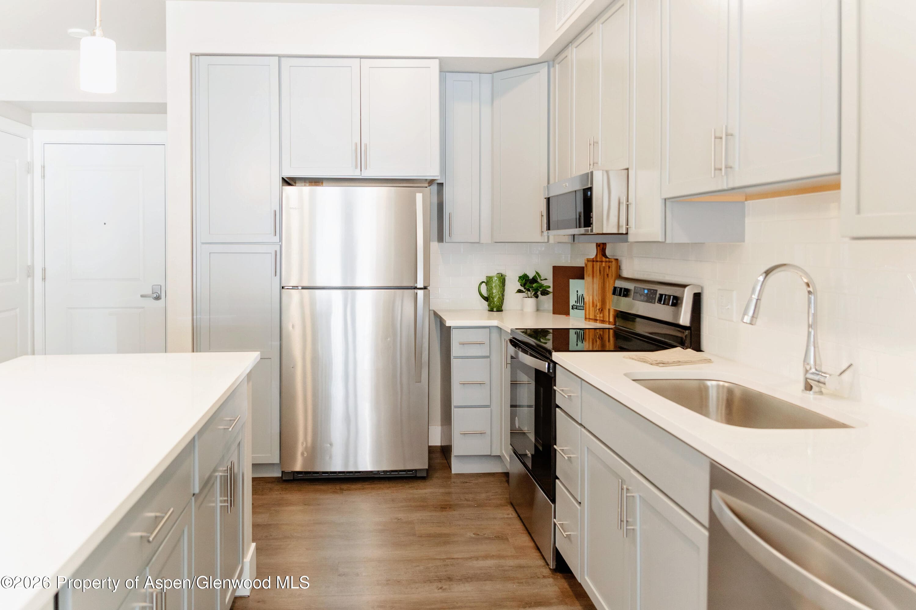 253 Wulfsohn Road 203, Glenwood Springs, CO 81601 - Photo 3