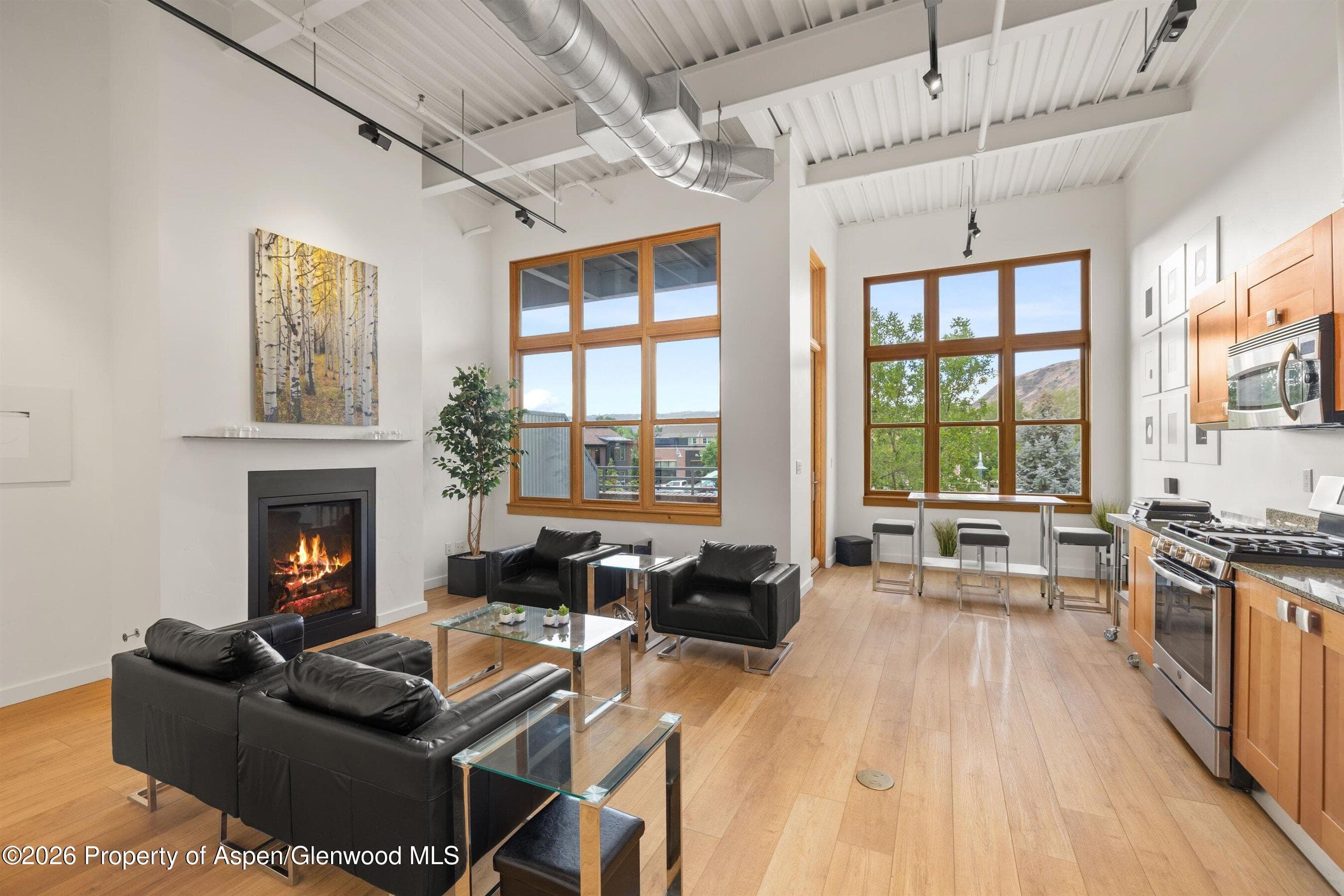231 Robinson Street 218, Basalt, CO 81621