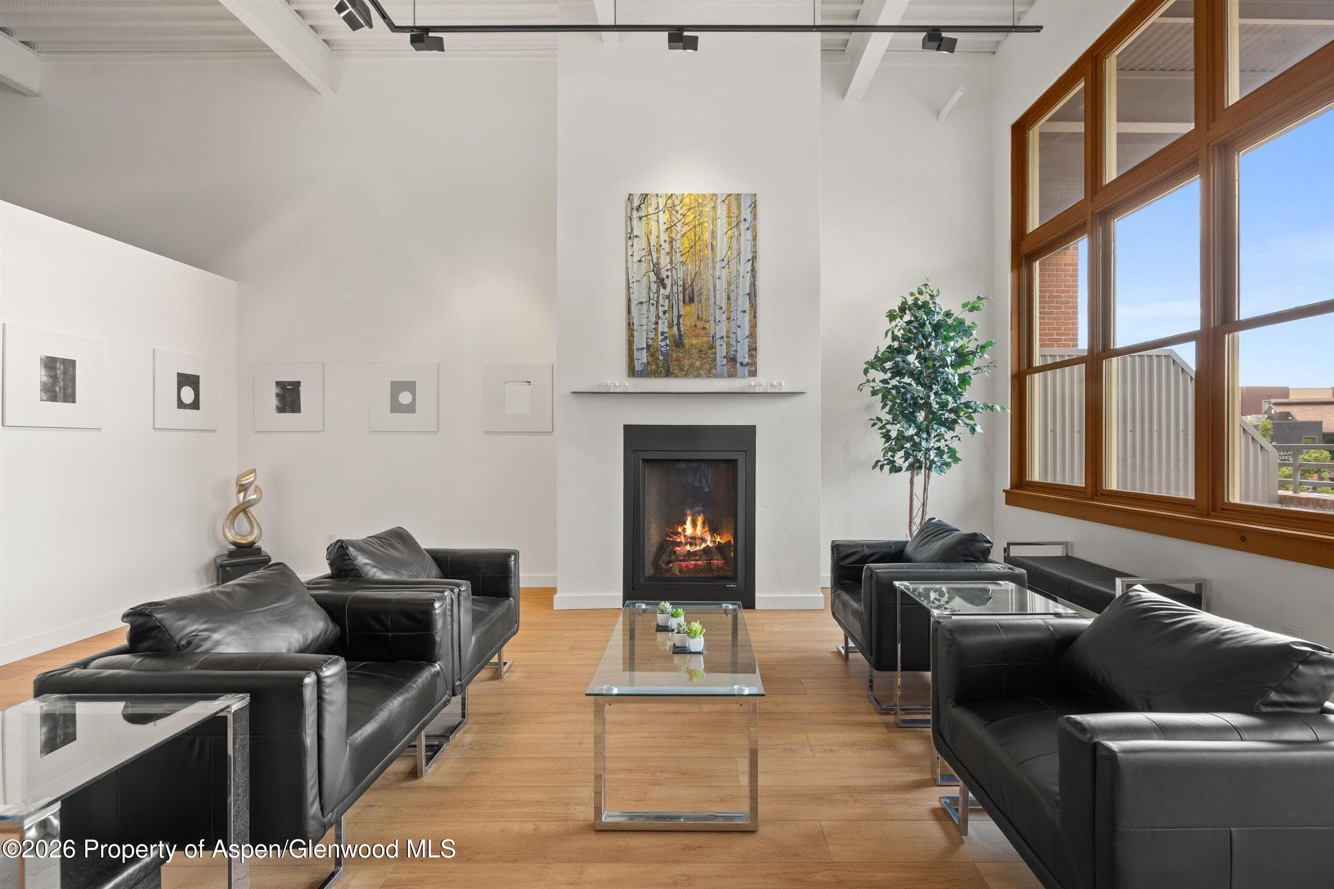 231 Robinson Street 218, Basalt, CO 81621 - Photo 3